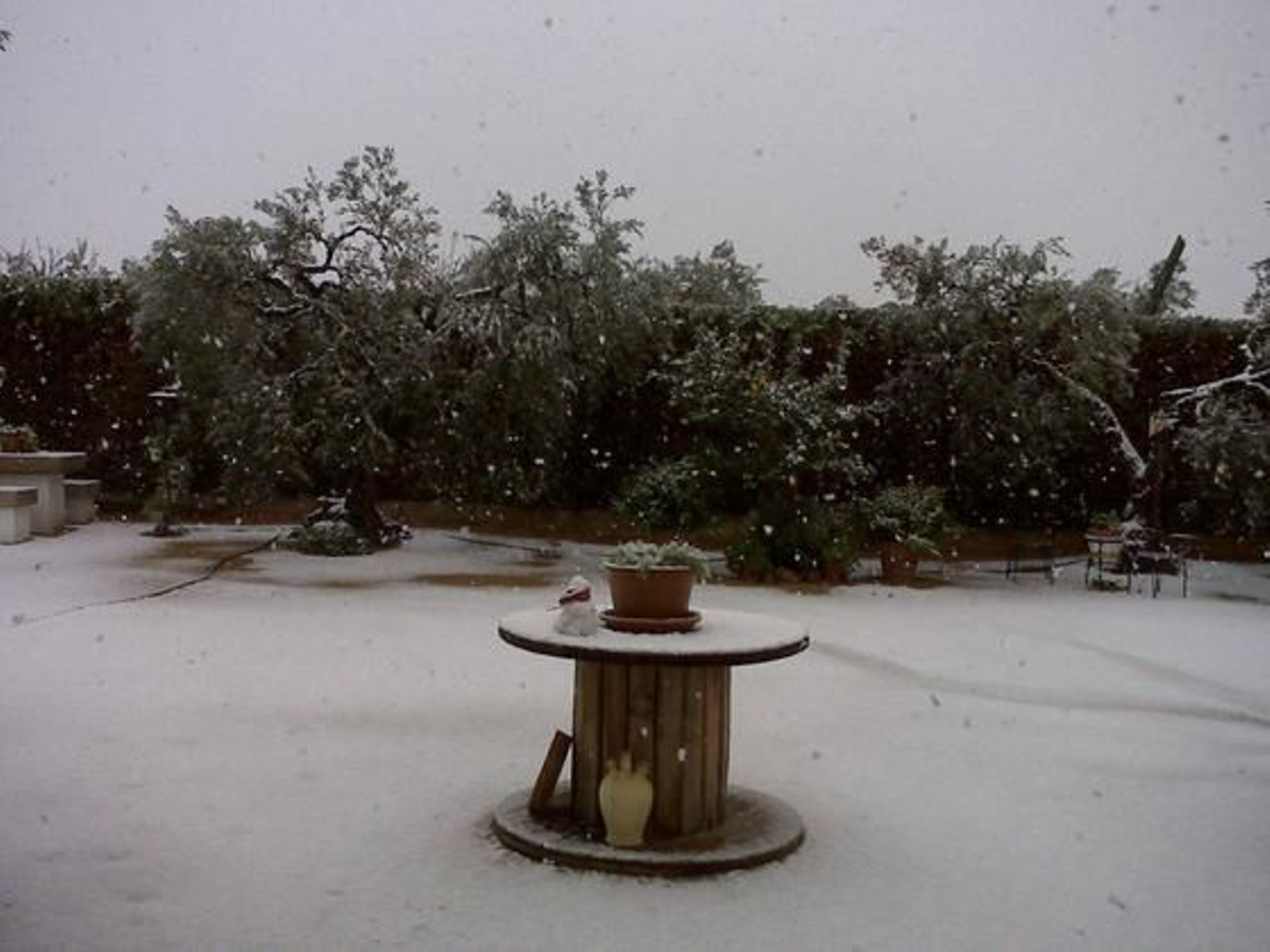 Nevada en Gerena./ Miguel A. León