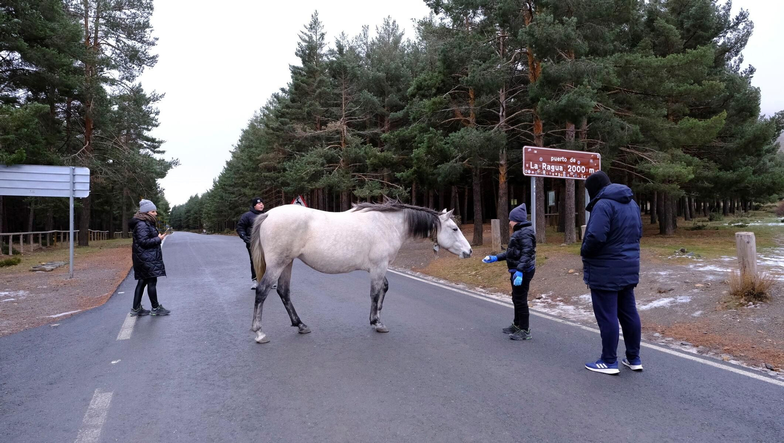 Puerto de la Ragua, una estación invernal a caballo entre las provincias de Almería y Granada.