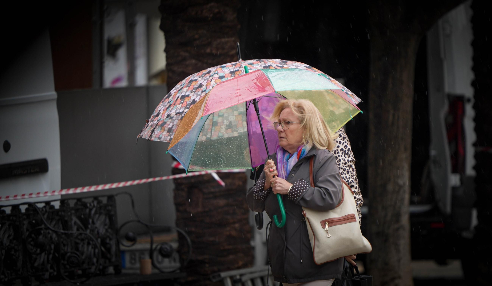 Las lluvias este miércoles serán moderadas en Jerez de la Frontera