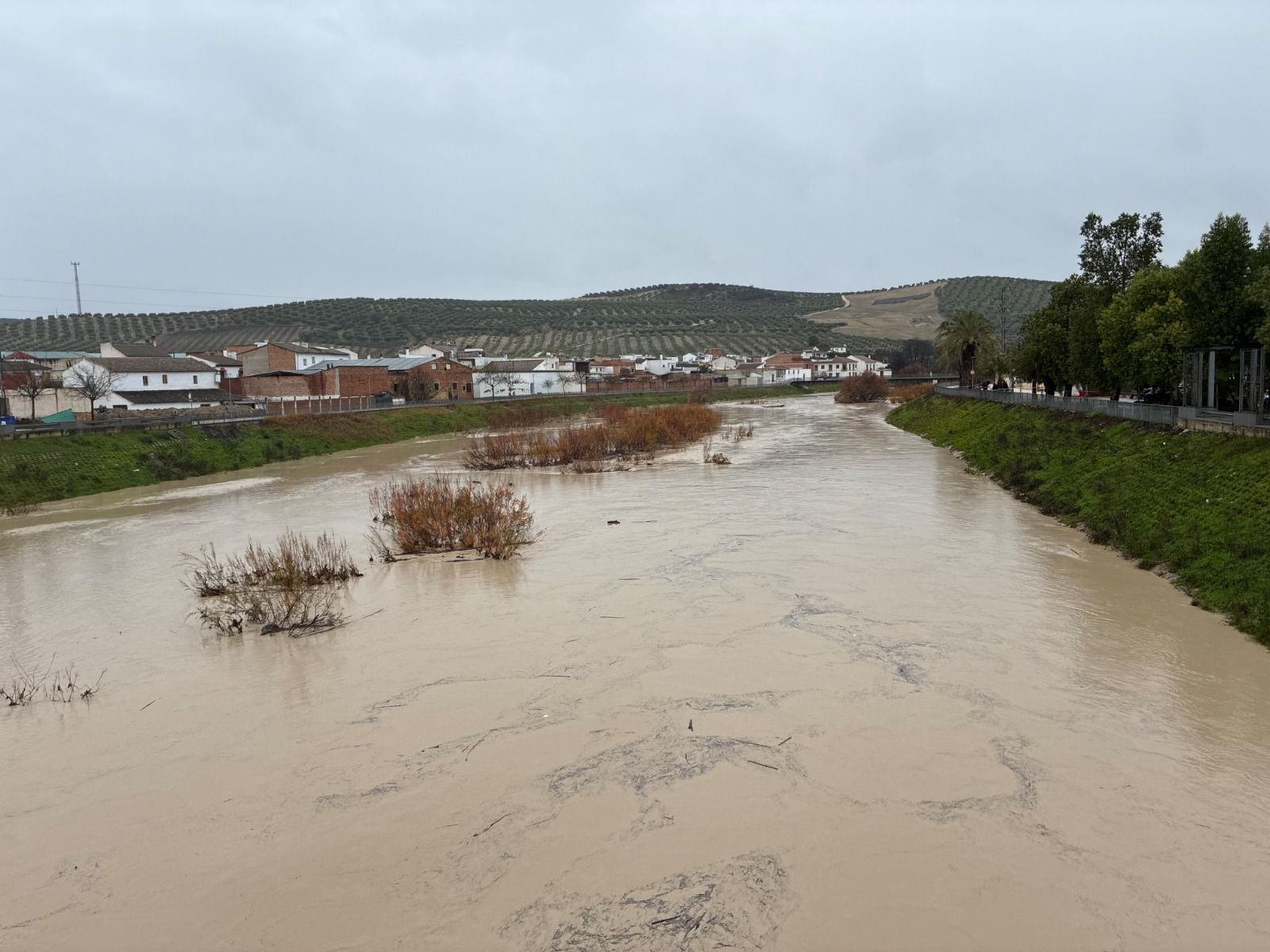 El Guadajoz, a su paso por Castro del Río.