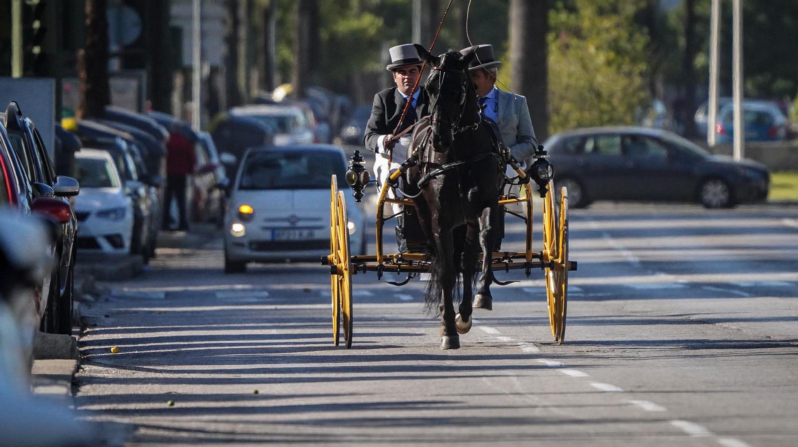 Tradición y elegancia en el Concurso Internacional de Enganches