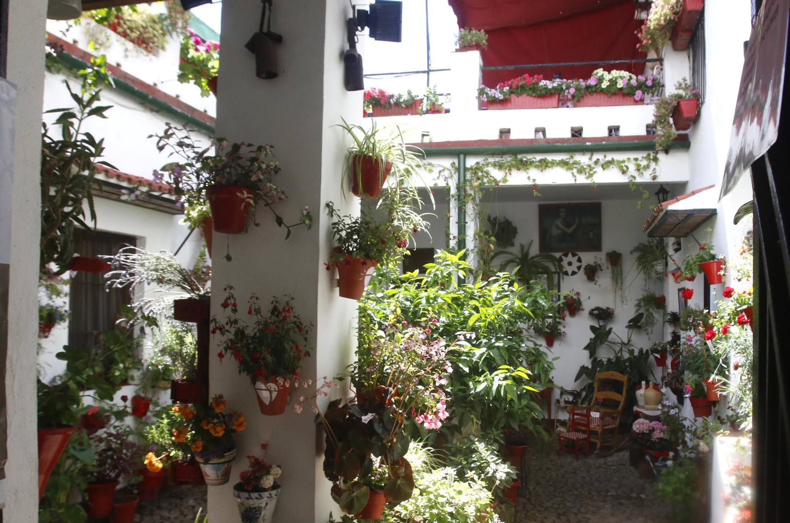 Ruta San Lorenzo de los Patios de Córdoba, en imágenes