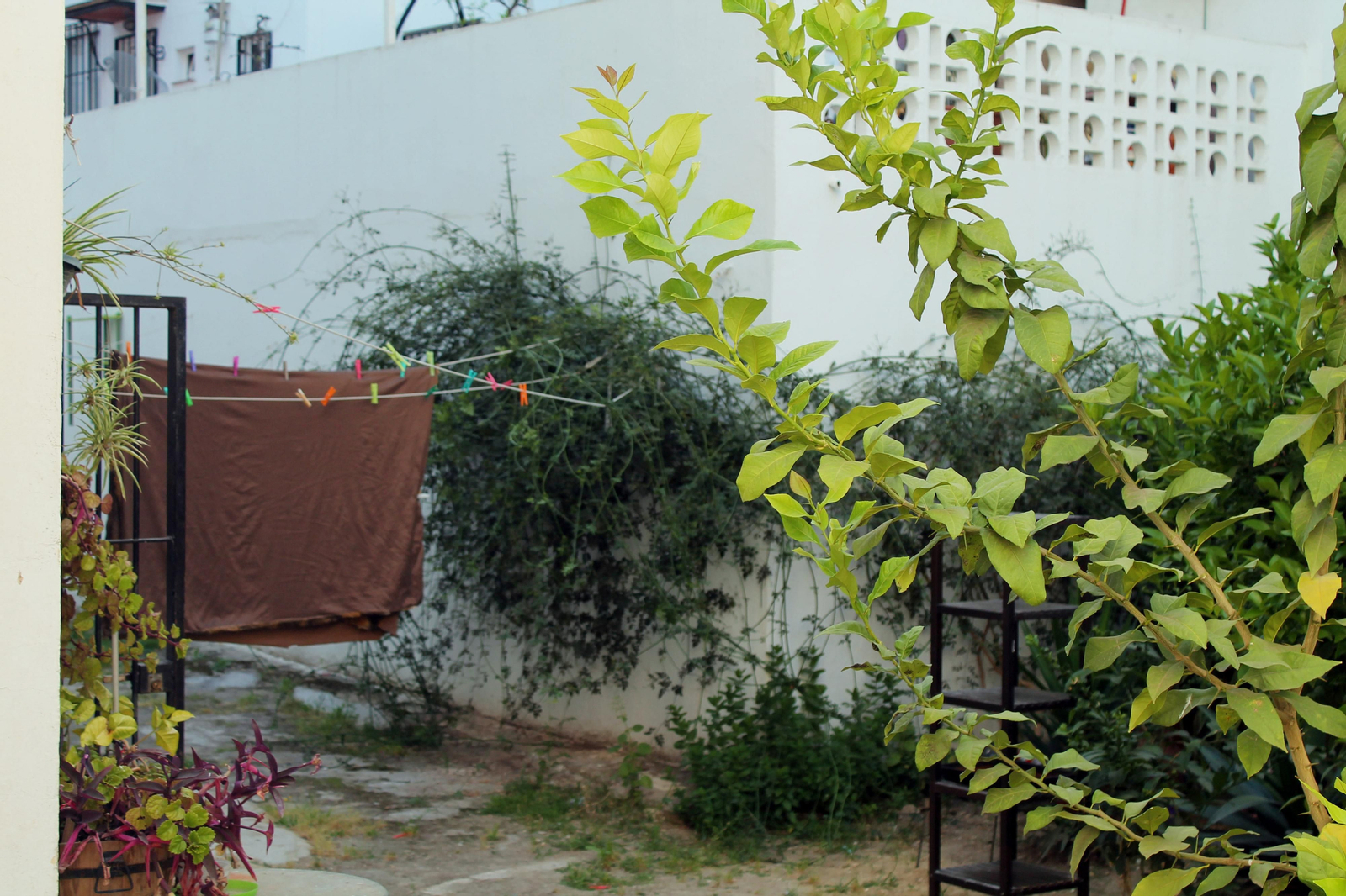 Barrio a Barrio: Huerto Paco, en imágenes