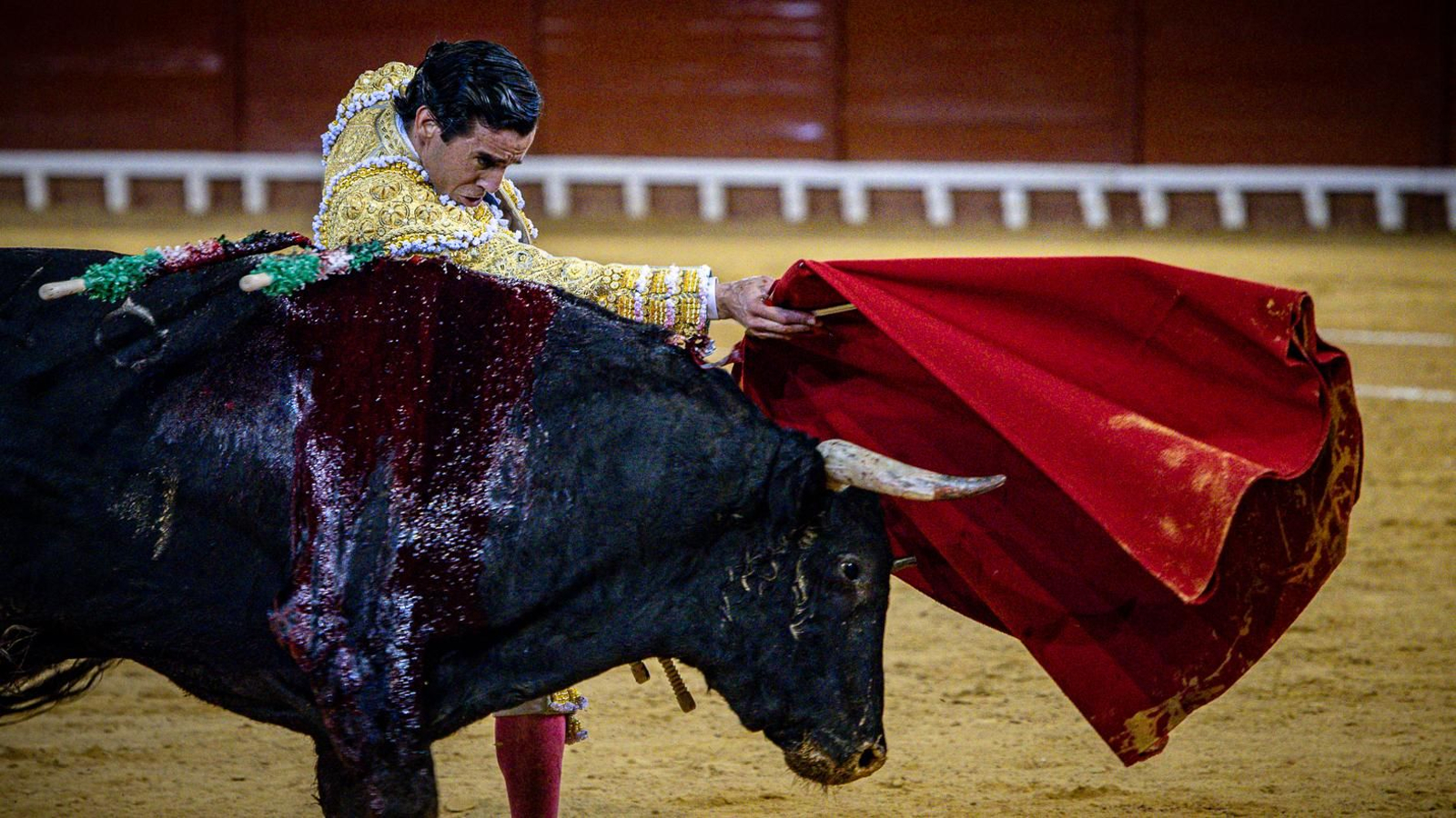Las imágenes de la corrida de toros en El Puerto: Morante, Talavante y Juan Ortega