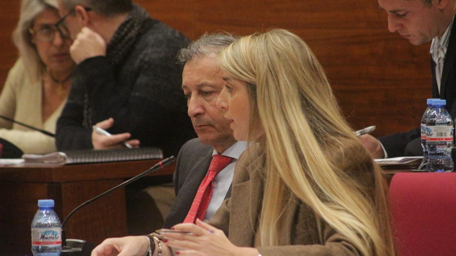 Isabel Butrón, interviniendo en el Pleno.