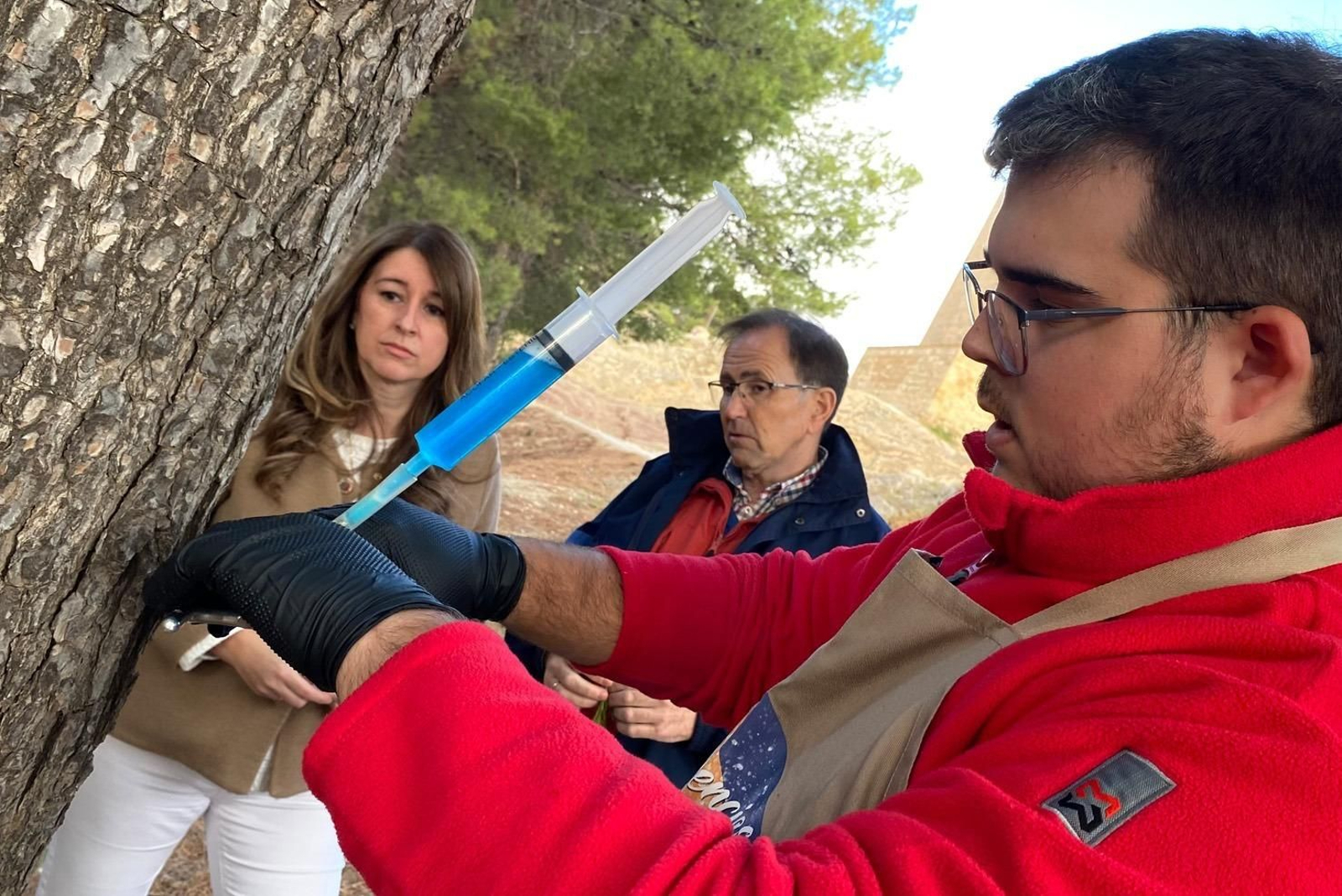 Aplicación del tratamiento contra la procesionaria en los pinares