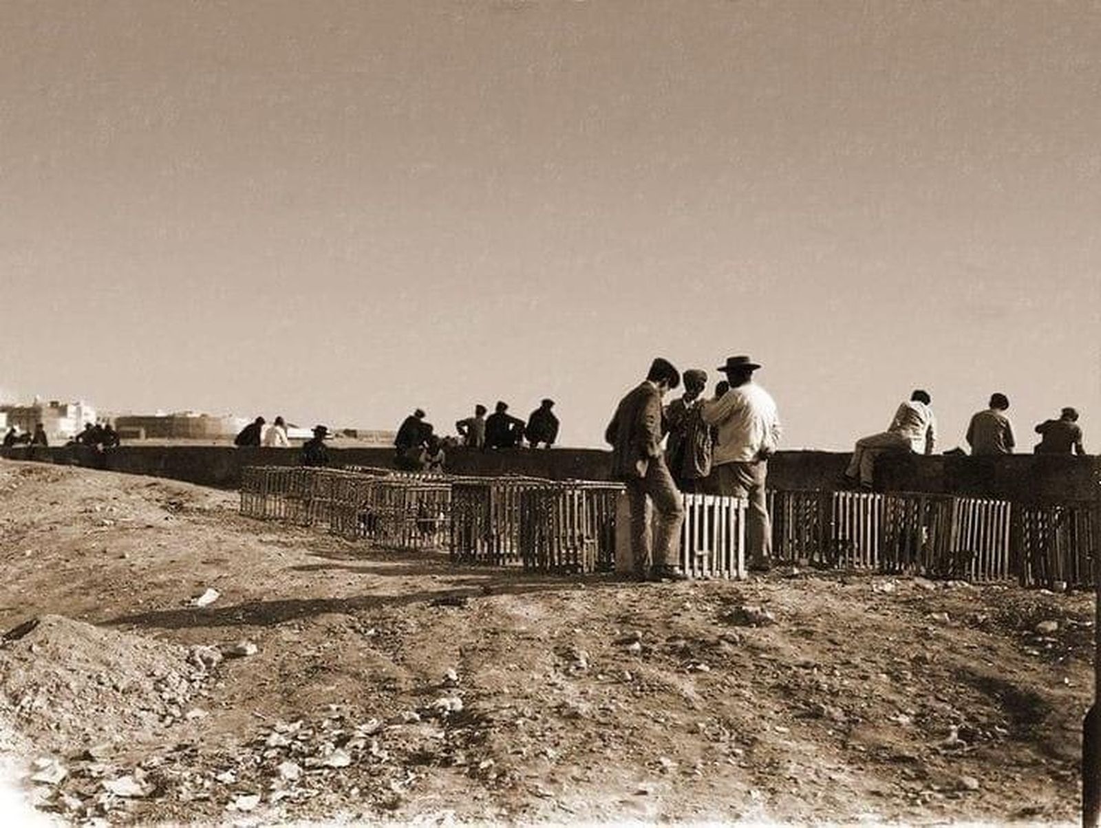 Galleros en el Campo del Sur