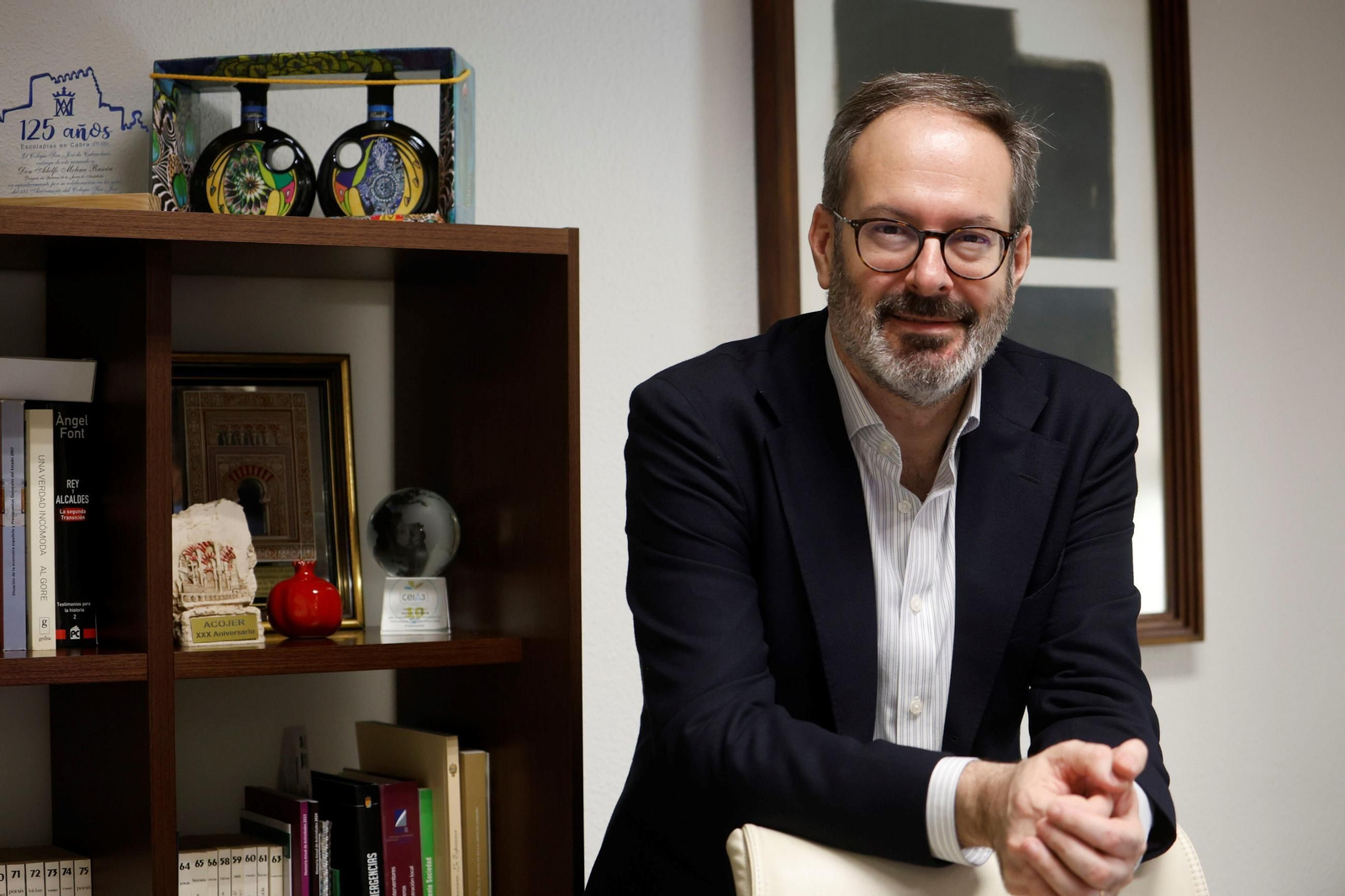 El delegado del Gobierno andaluz, Adolfo Molina, en su despacho