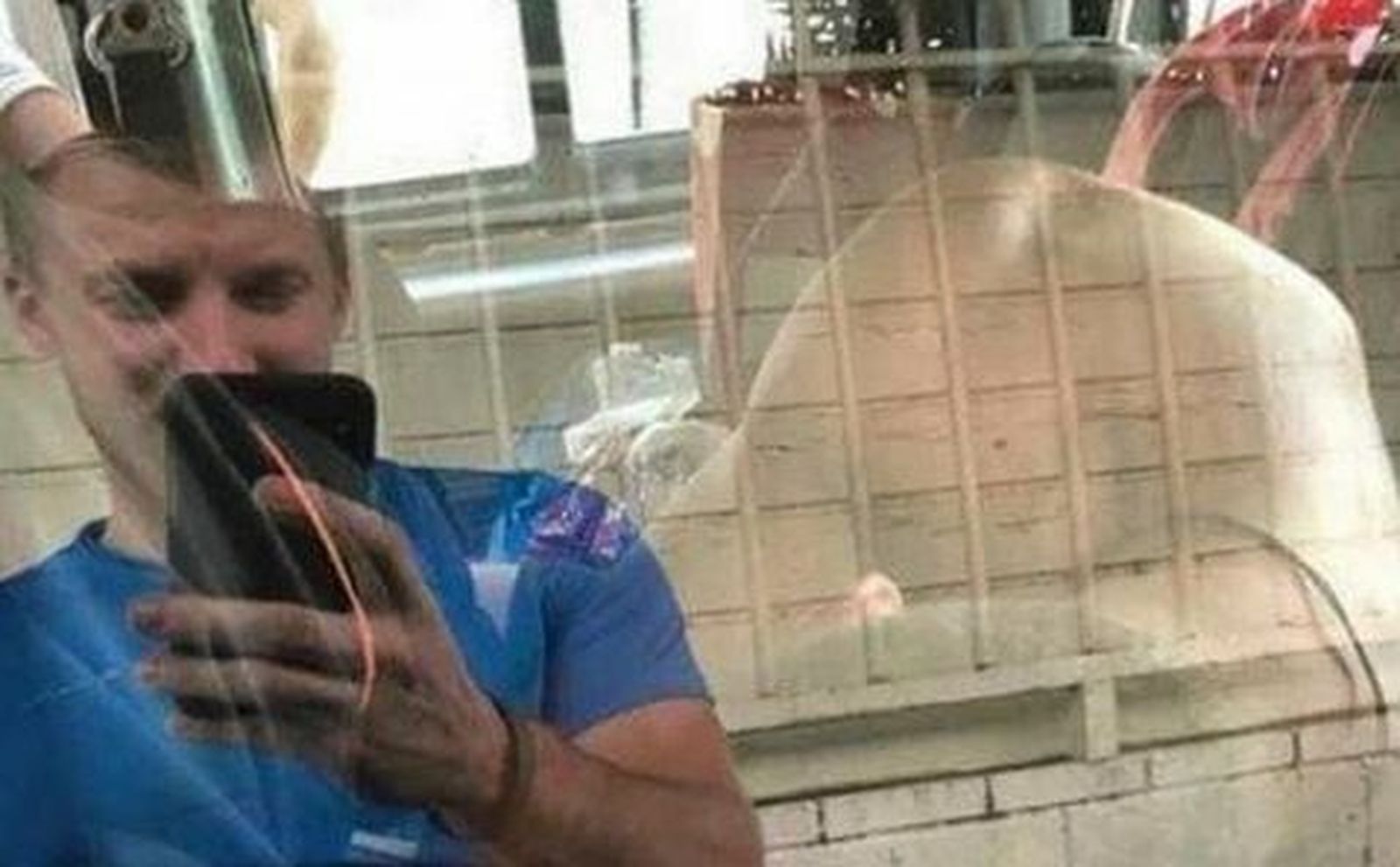 El efecto óptico sexual de Paco León