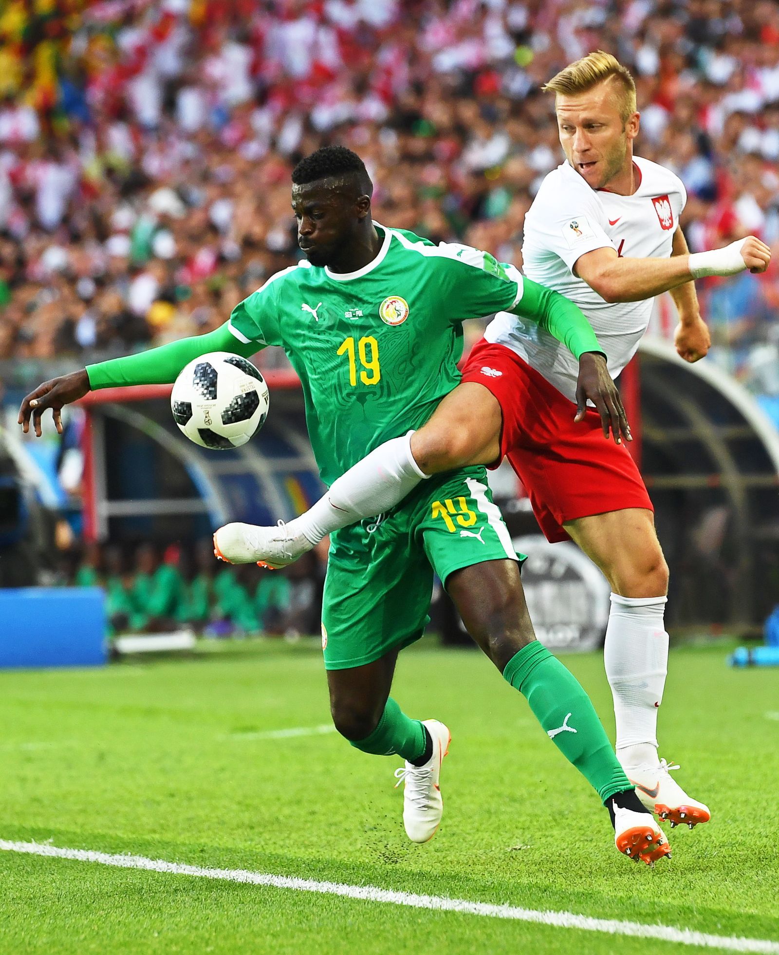 Las imágenes del Polonia-Senegal