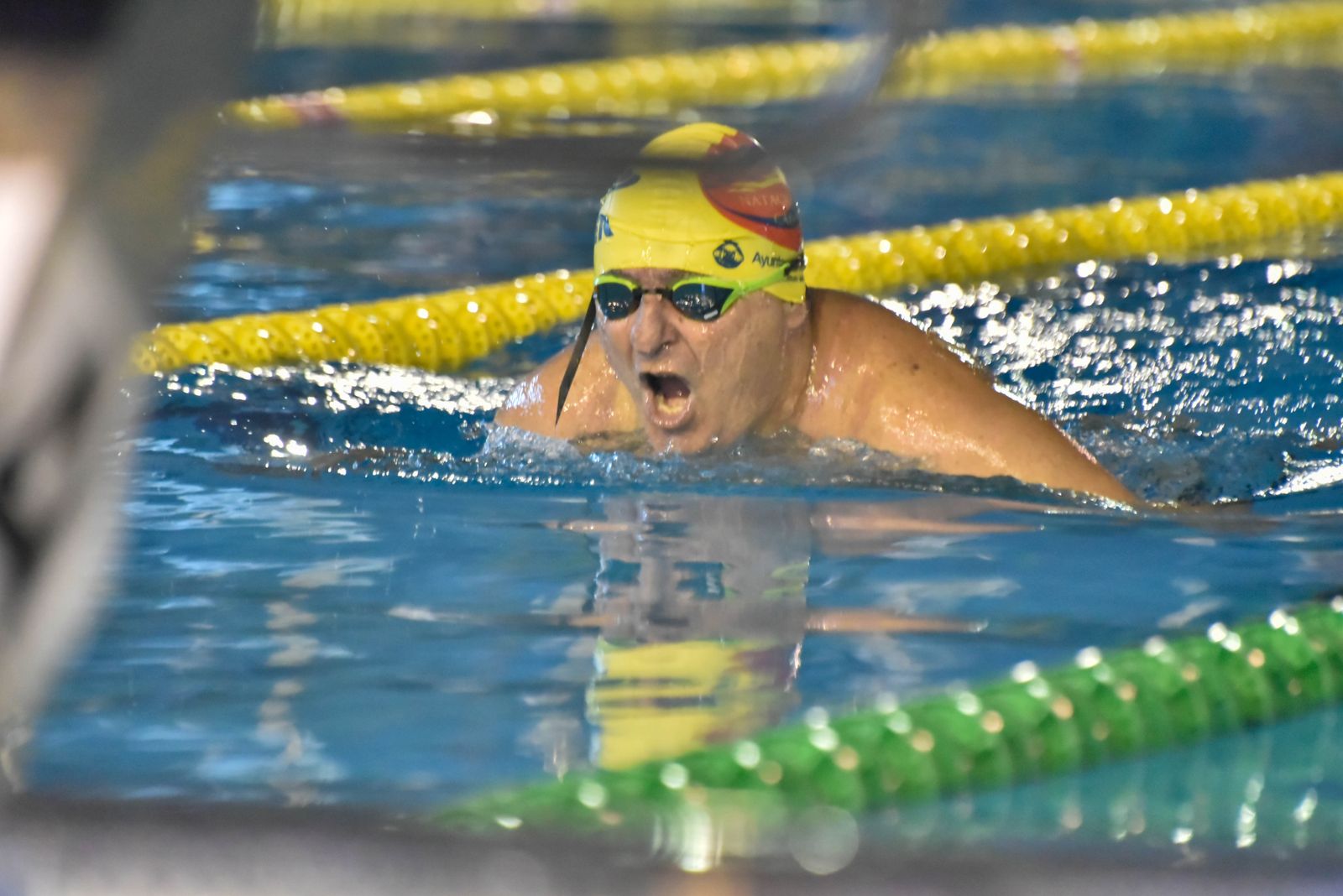 Las fotos del Campeonato de Natación Master en Los Barrios