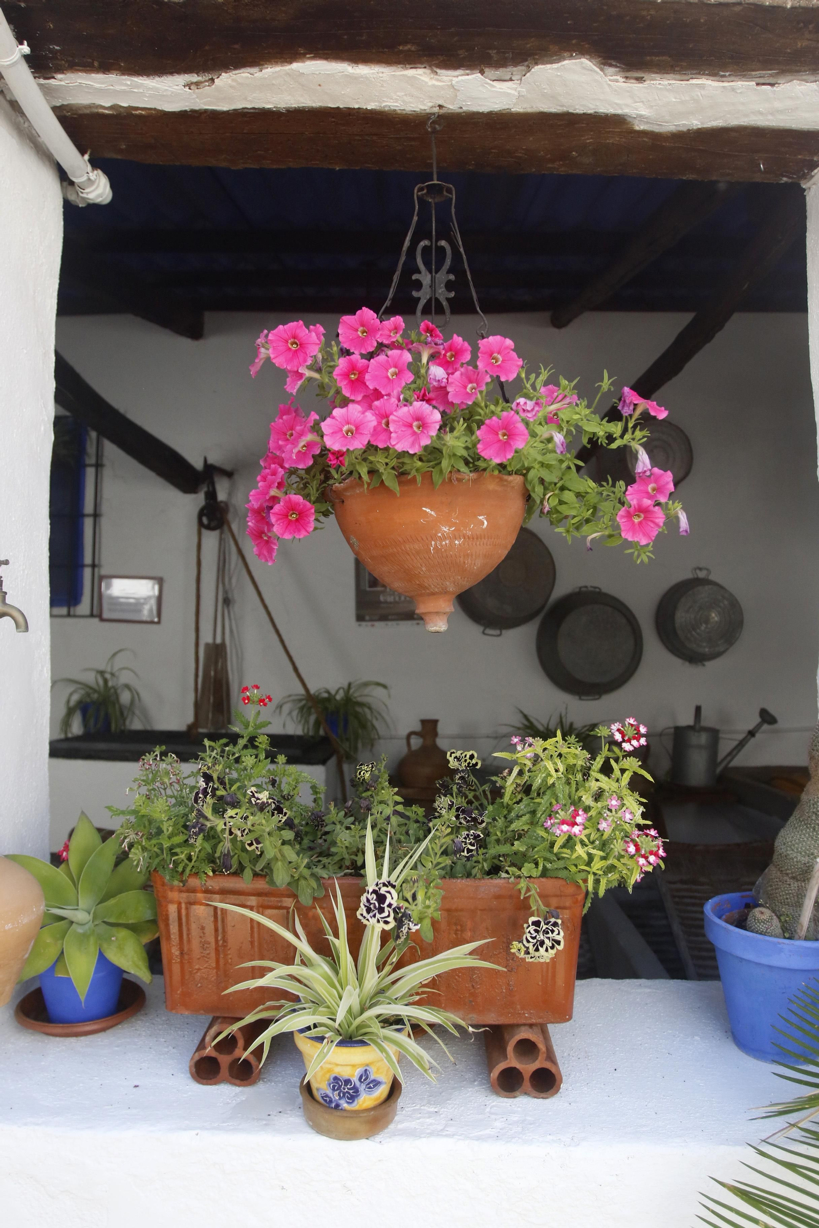 Ruta Santa Marina - San Agustín de los Patios de Córdoba, en imágenes