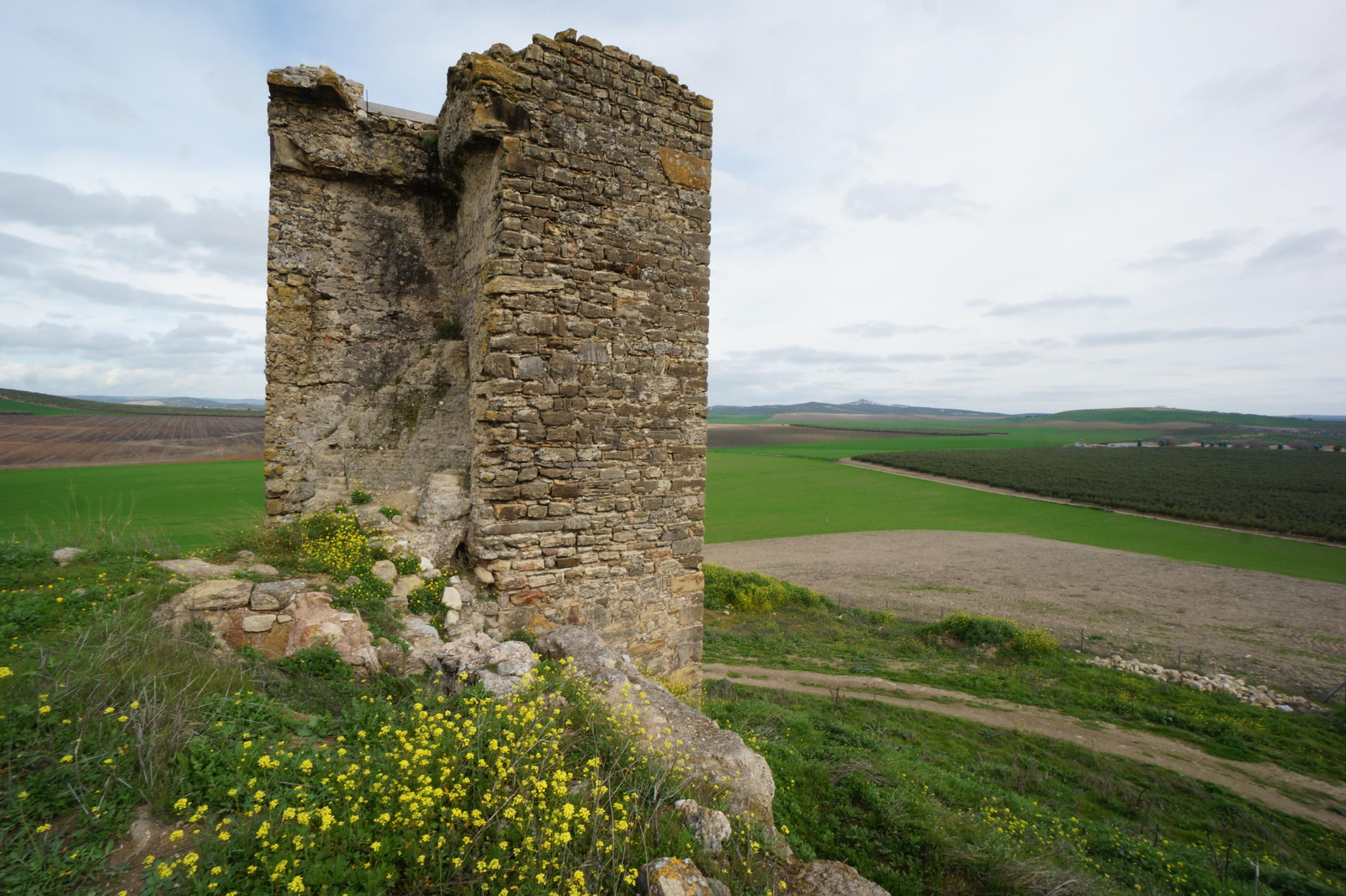 El castillo de Dos Hermanas de Montemayor, en fotografías