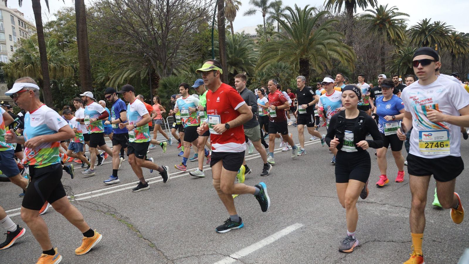 La Media Maratón de Málaga 2025, en fotos