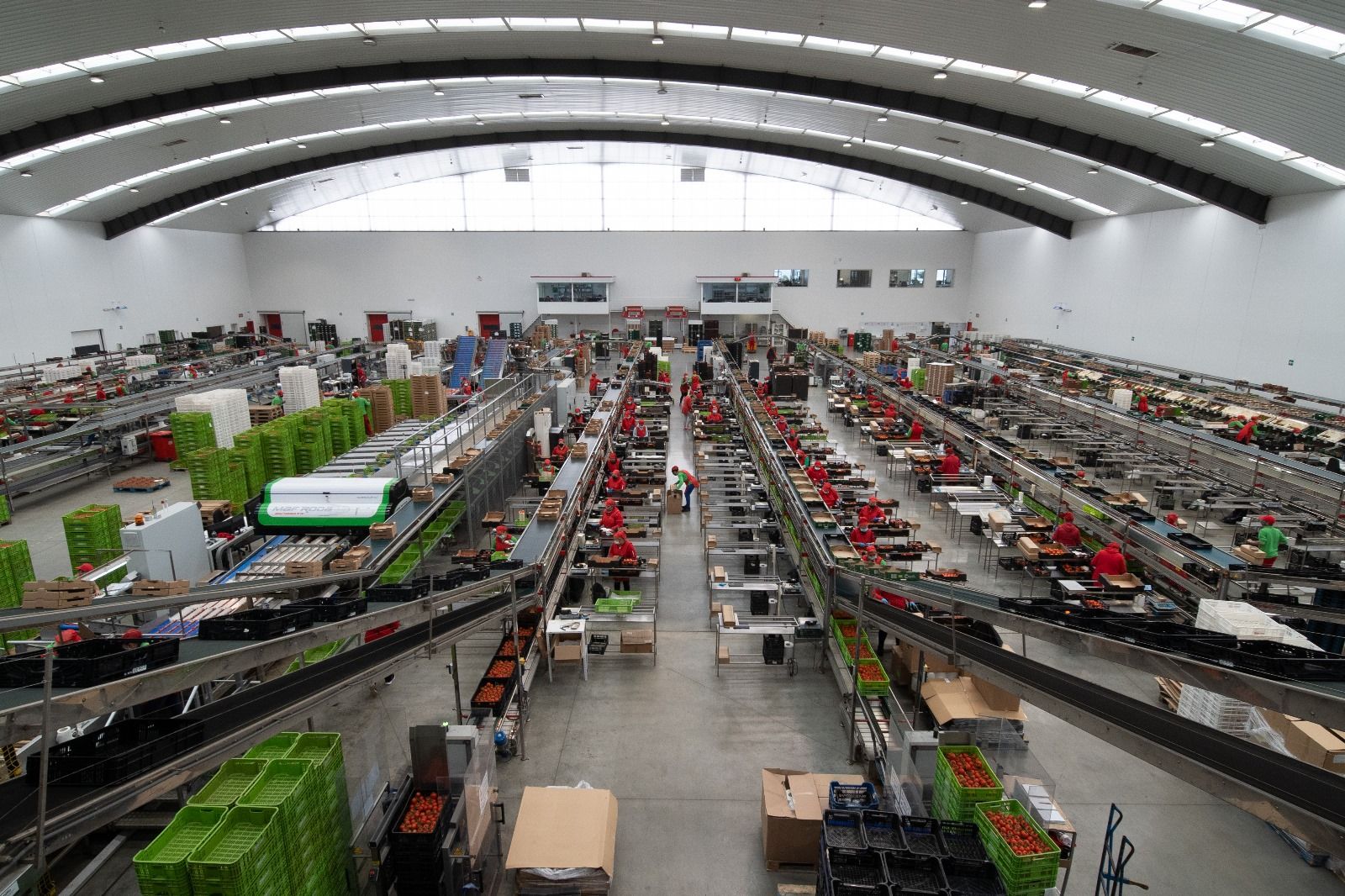 Almacén de una empresa hortofrutícola.