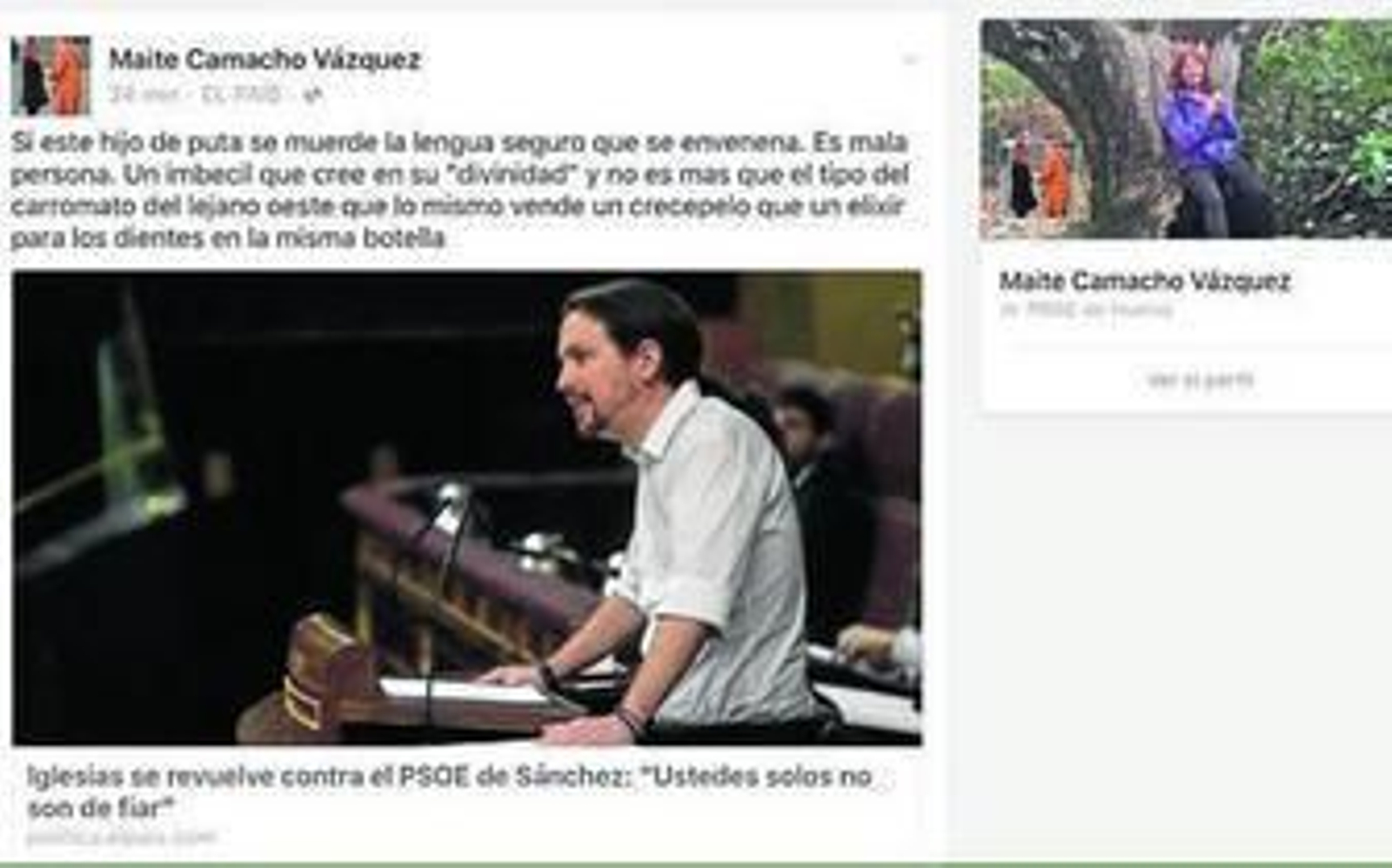 Captura de pantalla del comentario efectuado sobre Pablo Iglesias por Maite Camacho.