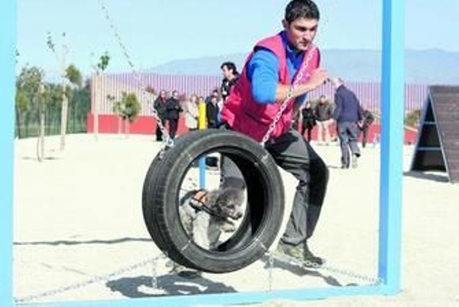 El parque canino dispone de elementos para ejercitar a los perros. El parque canino dispone de elementos para ejercitar a los perros.