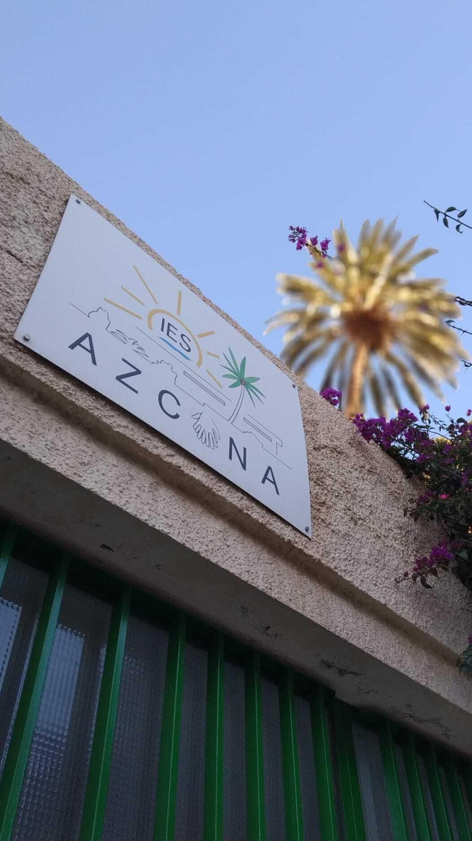 La palmera, un símbolo.