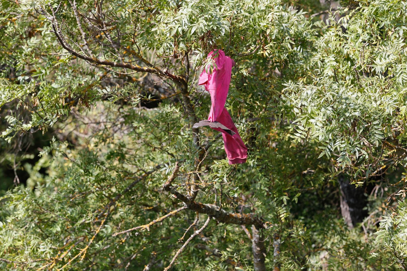 El accidente mortal en la A-381, a la altura de Alcalá de los Gazules, en imágenes