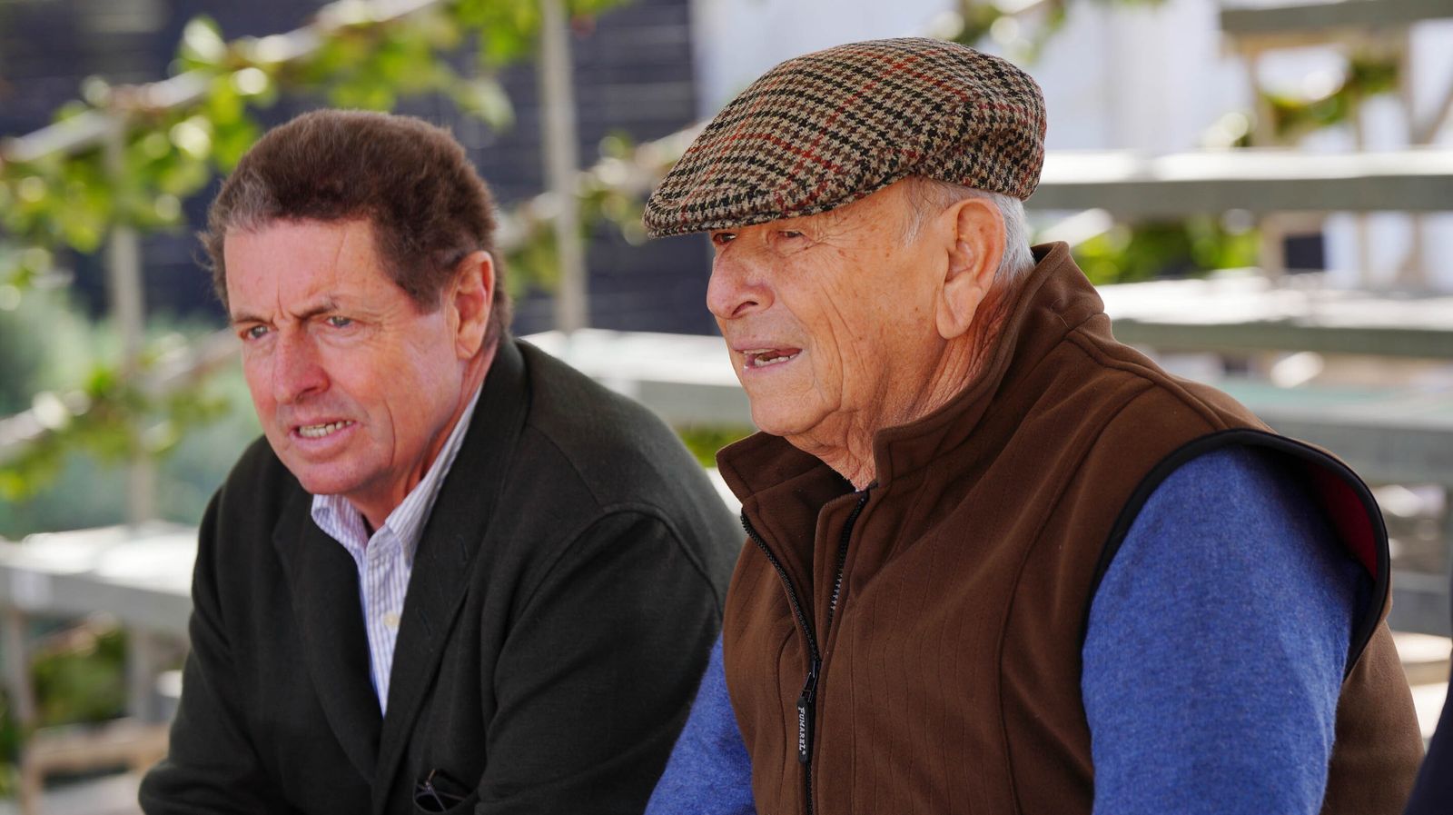 Concurso de Doma Clásica internacional en la Real escuela de Jerez