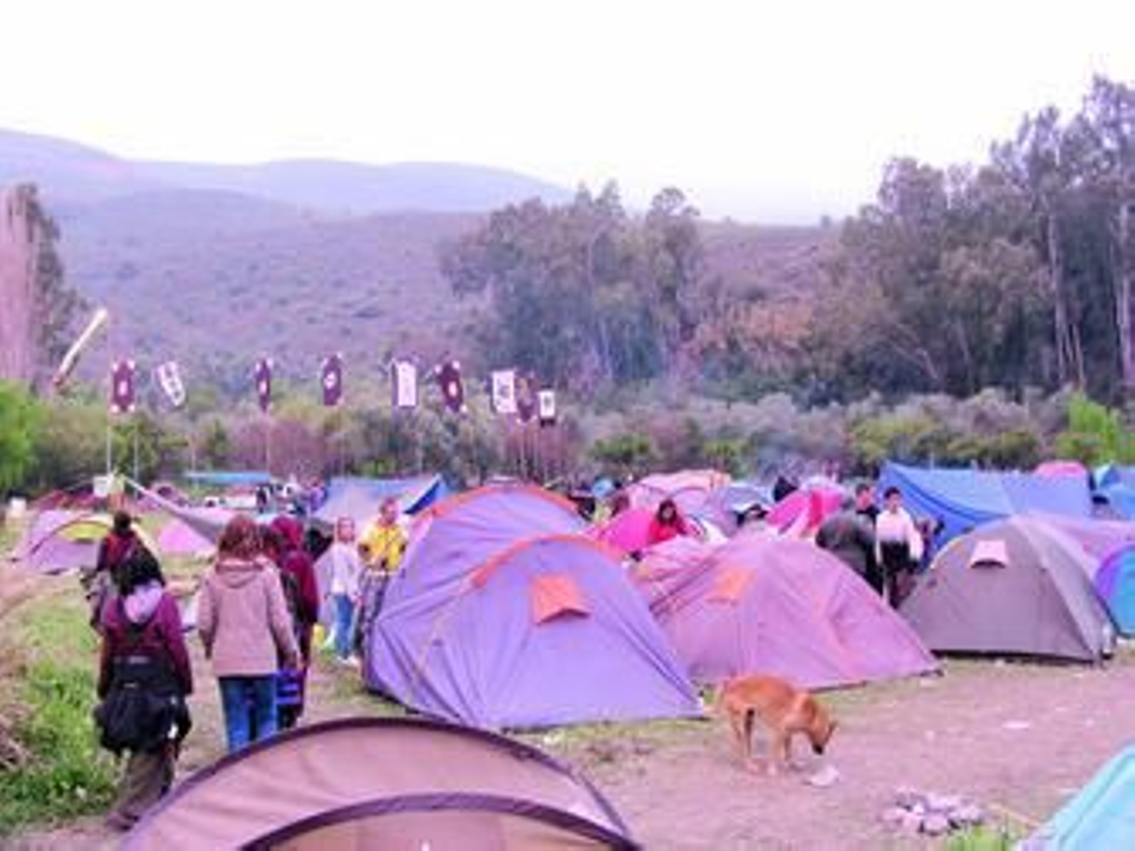 Algunas de las muchas tiendas que instalaron los asistentes a la Fiesta del Dragón.