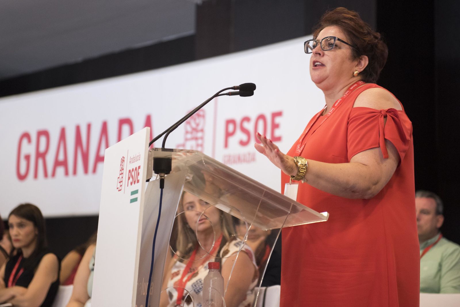 Teresa Jiménez, cabeza de lista del PSOE
