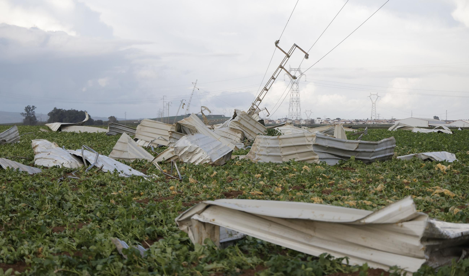 Las fotos del paso de un tornado por Alcalá del Río
