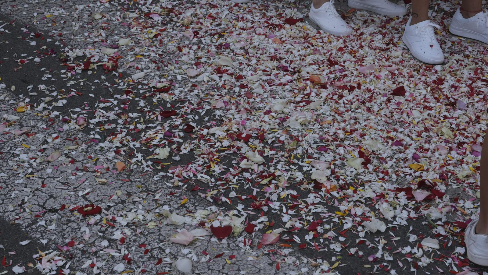 La procesión marítima de la Virgen del Carmen en Aguadulce, en imágenes