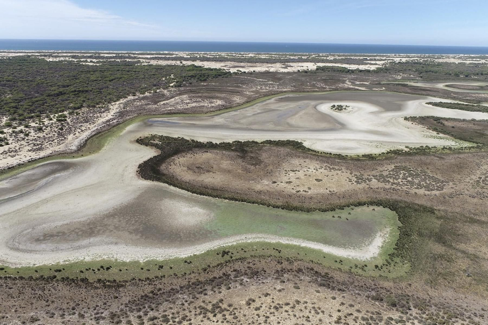 La laguna de Santa Olalla seca durante el verano pasado por la sequía. La laguna de Santa Olalla seca durante el verano pasado por la sequía.