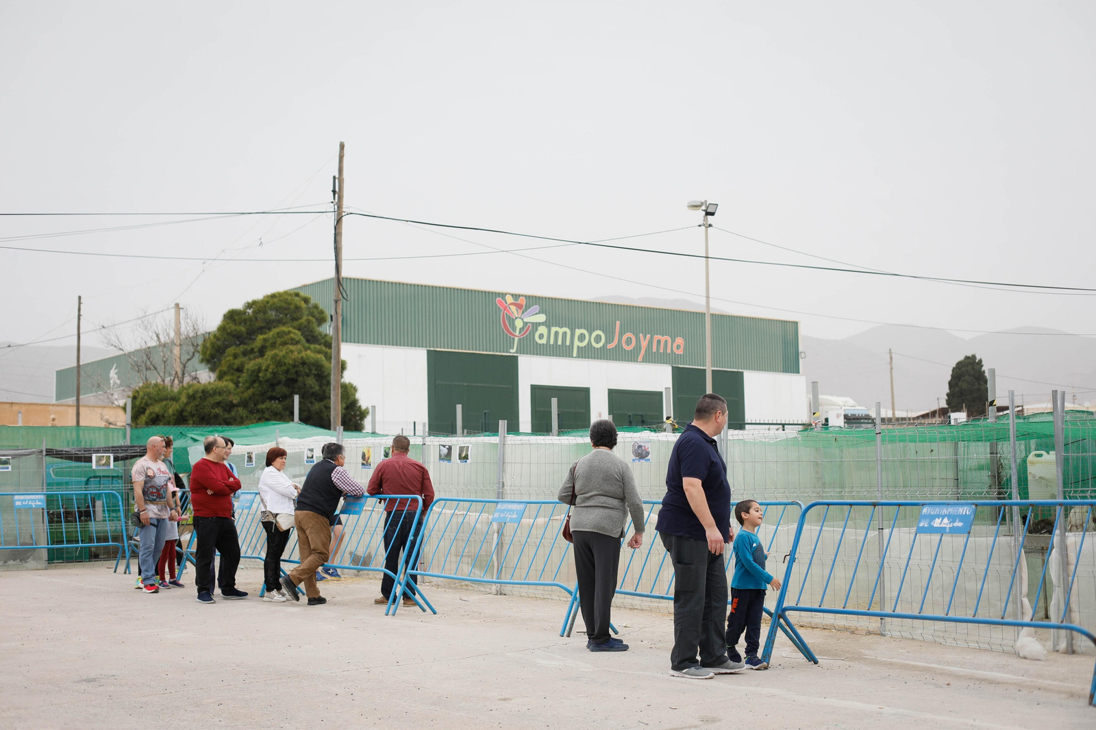Galería de la Feria  de ganado en Tarambana