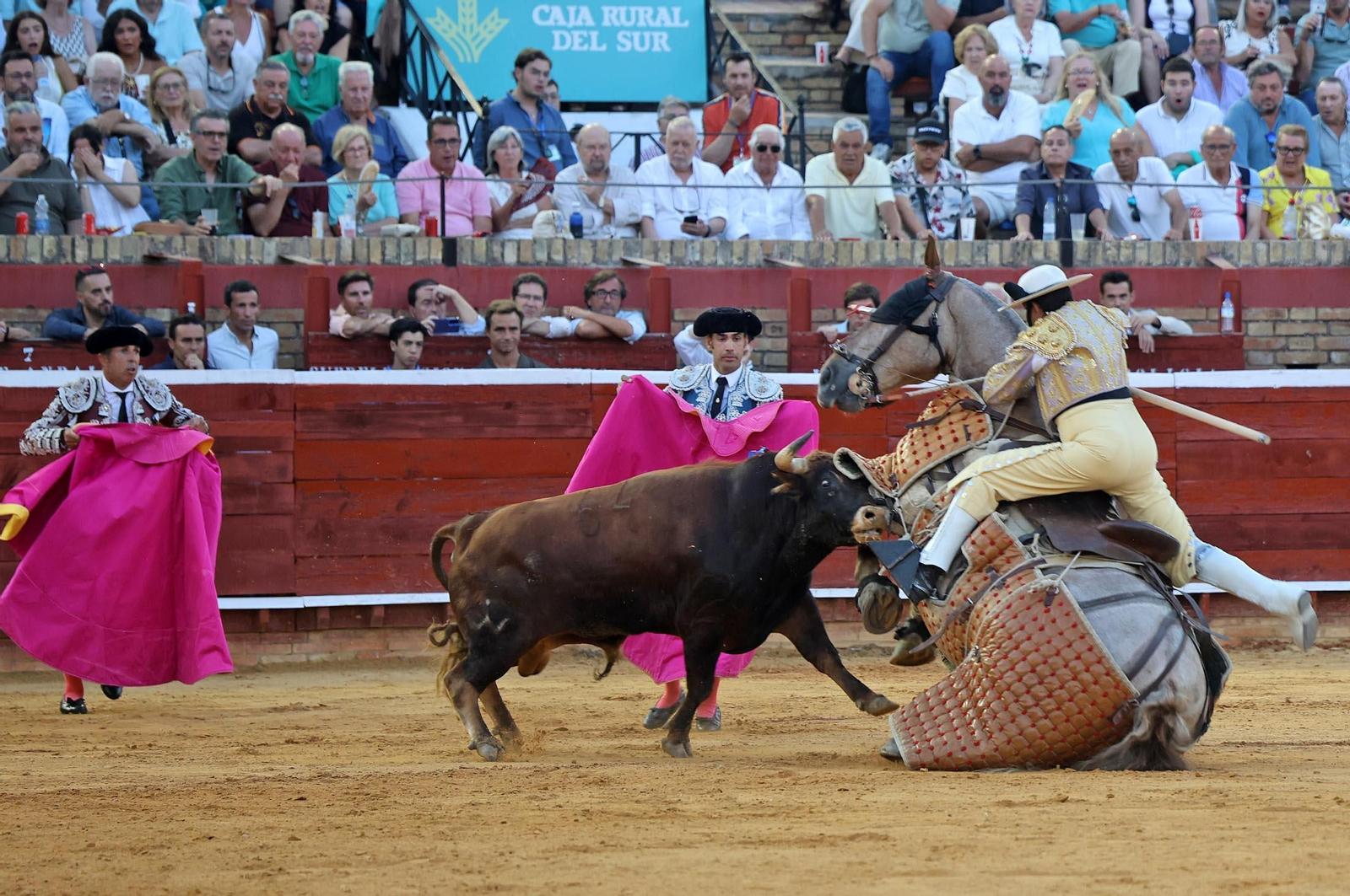 Toros La Merced 2025: Imágenes de la Novillada de Javier Zulueta, Cristian González y Carlos Tirado