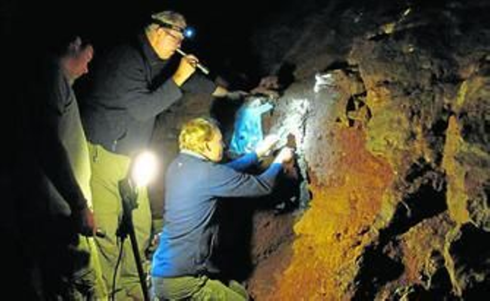 ¿De dónde llegaron los homo sapiens?