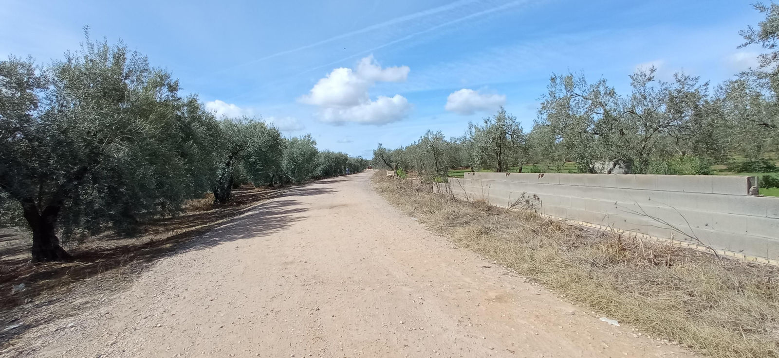 Las imágenes de la Ruta Azul en Bollullos de la Mitación
