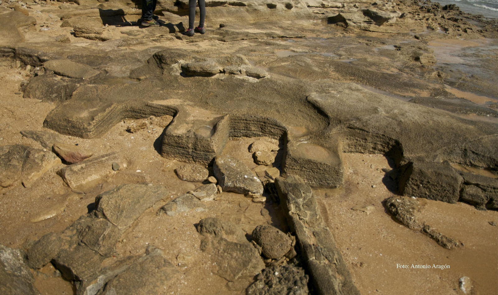 Las piletas romanas descubiertas en el Tómbolo de Trafalgar.
