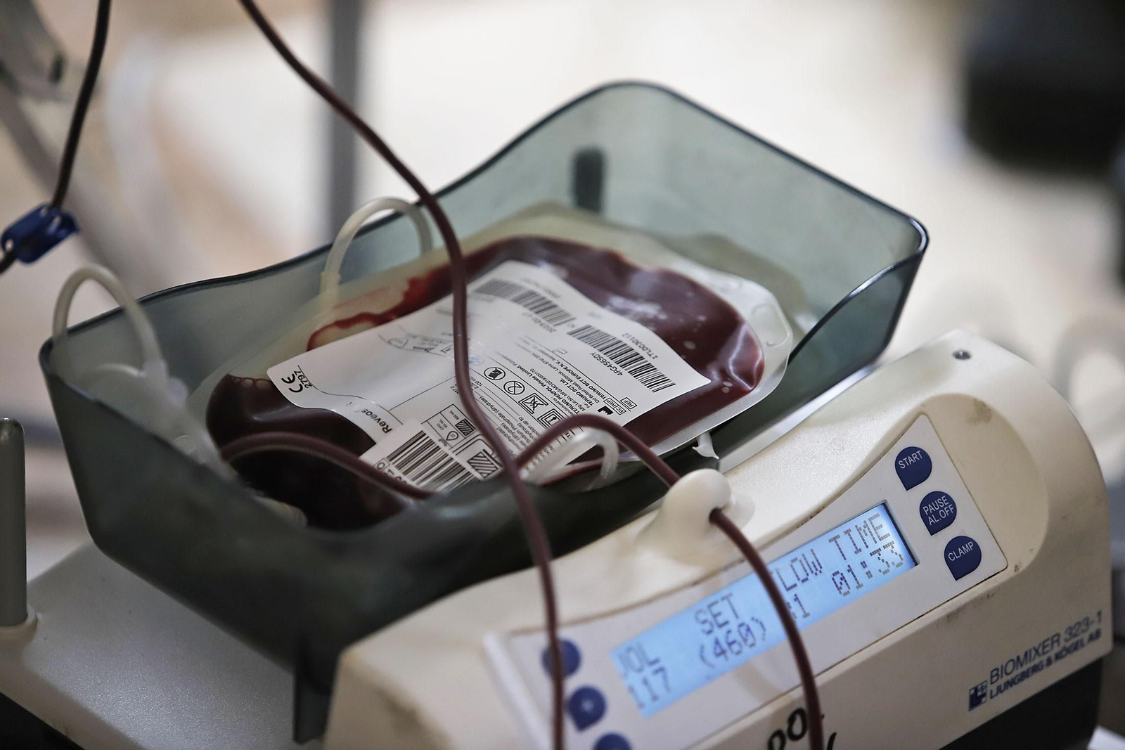 Imágenes de la Macrocolecta de sangre en la Casa Colón