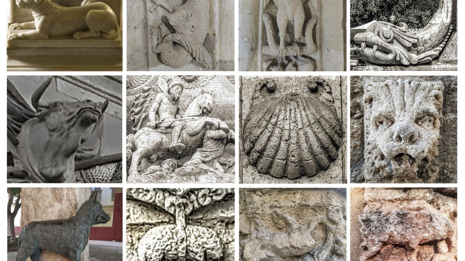 Fauna encantada de Almería