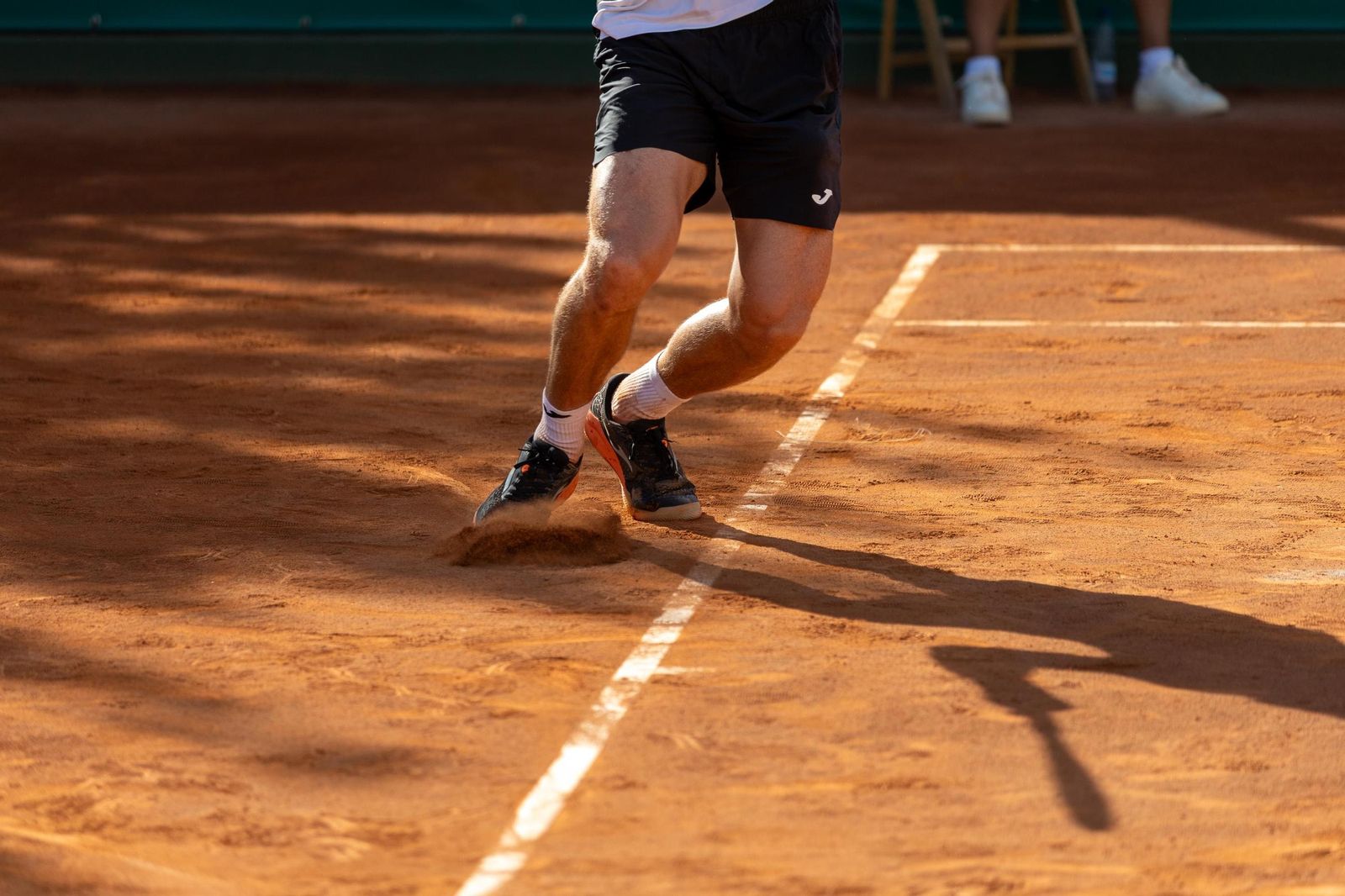 Llamas-López - Puyol-Mansilla  (27).jpg