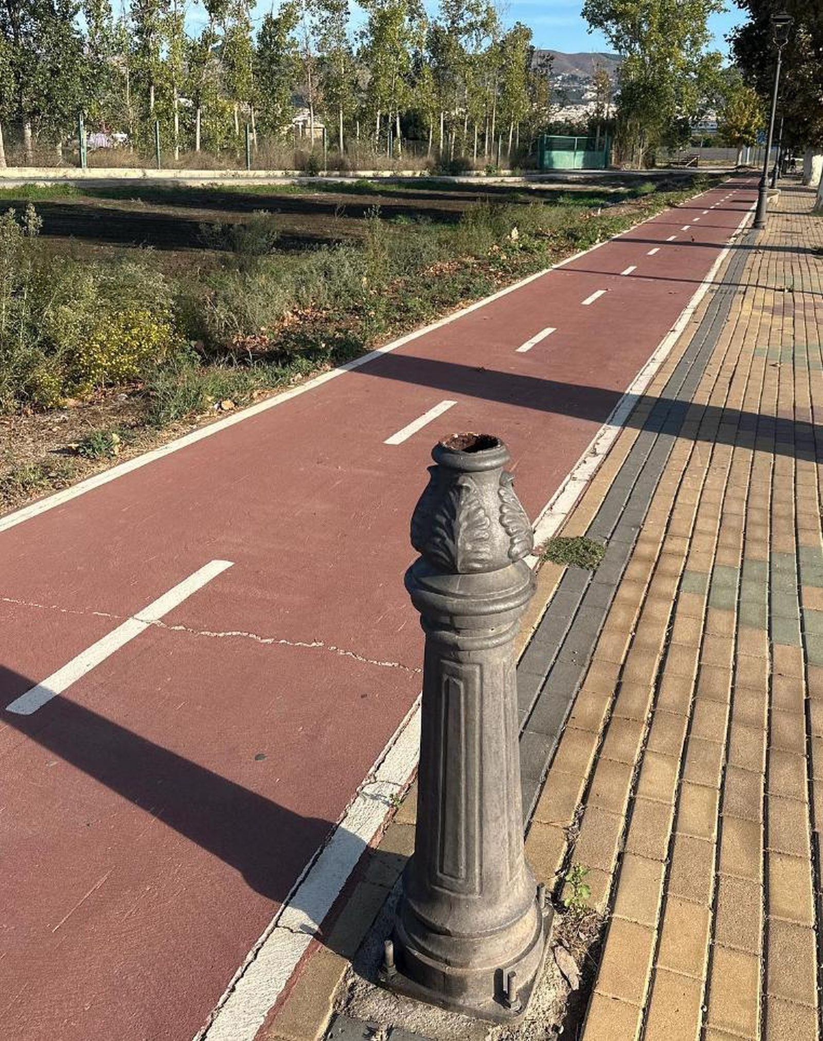 El PSOE de Motril denuncia la situación "deplorable" del paseo de la carretera al Puerto