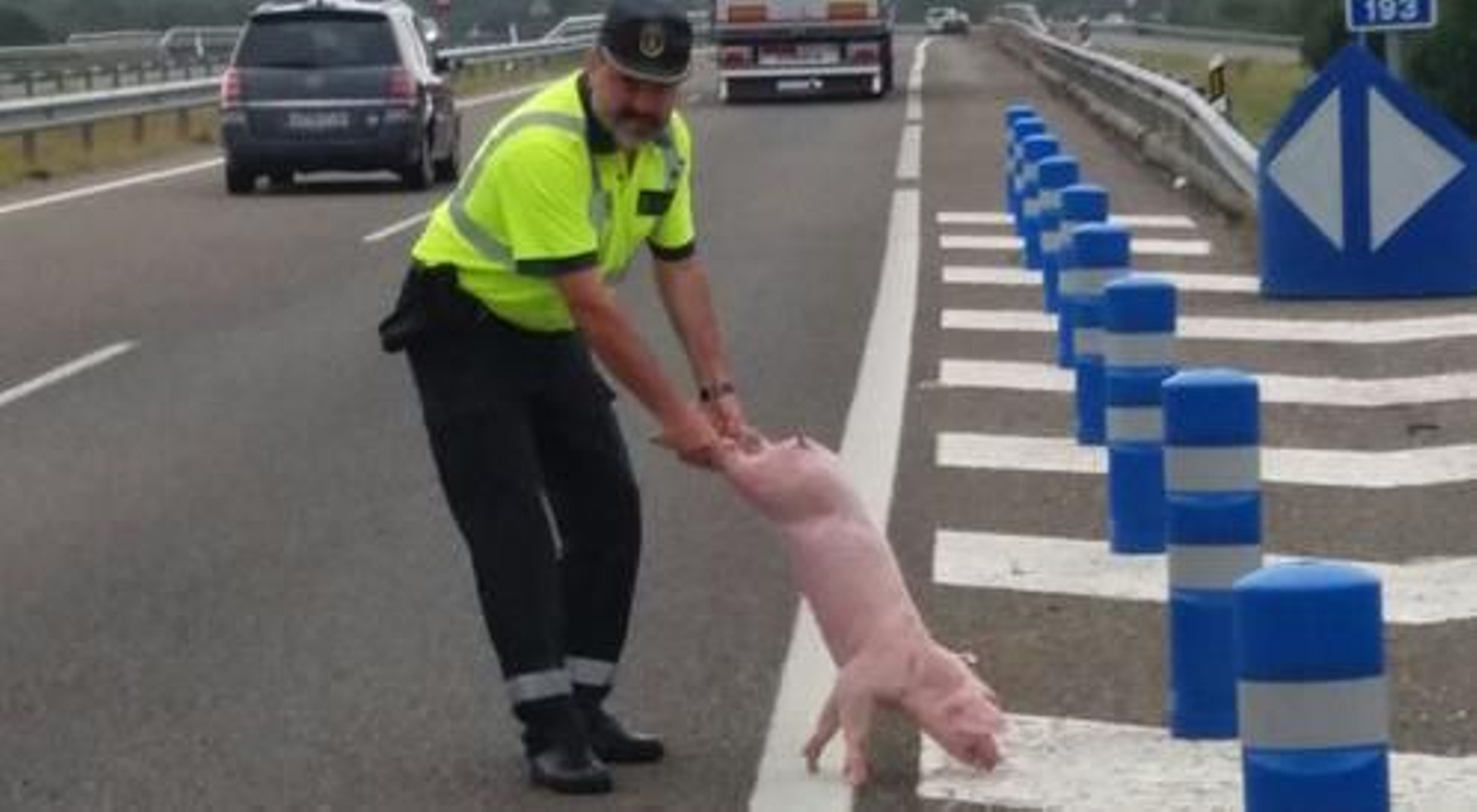 La foto de la Guardia Civil y un cerdo que ha causado polémica
