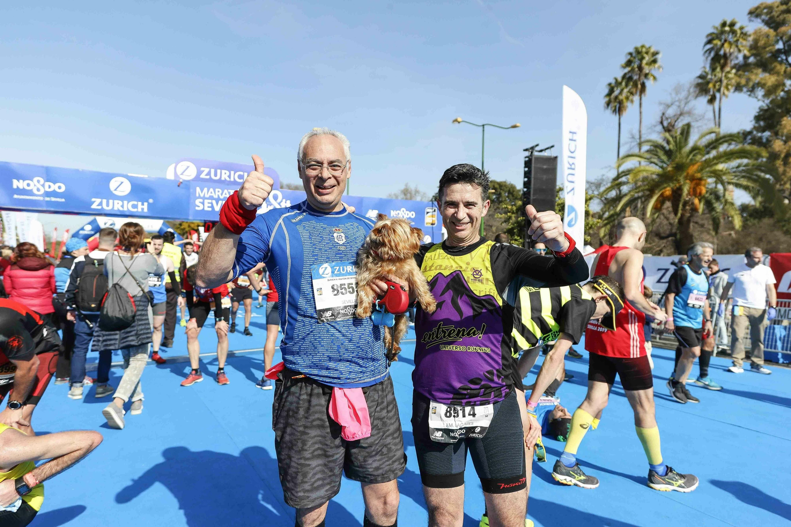 ¿Has hecho el Maratón de Sevilla 2019? Búscate en nuestra galería de fotos