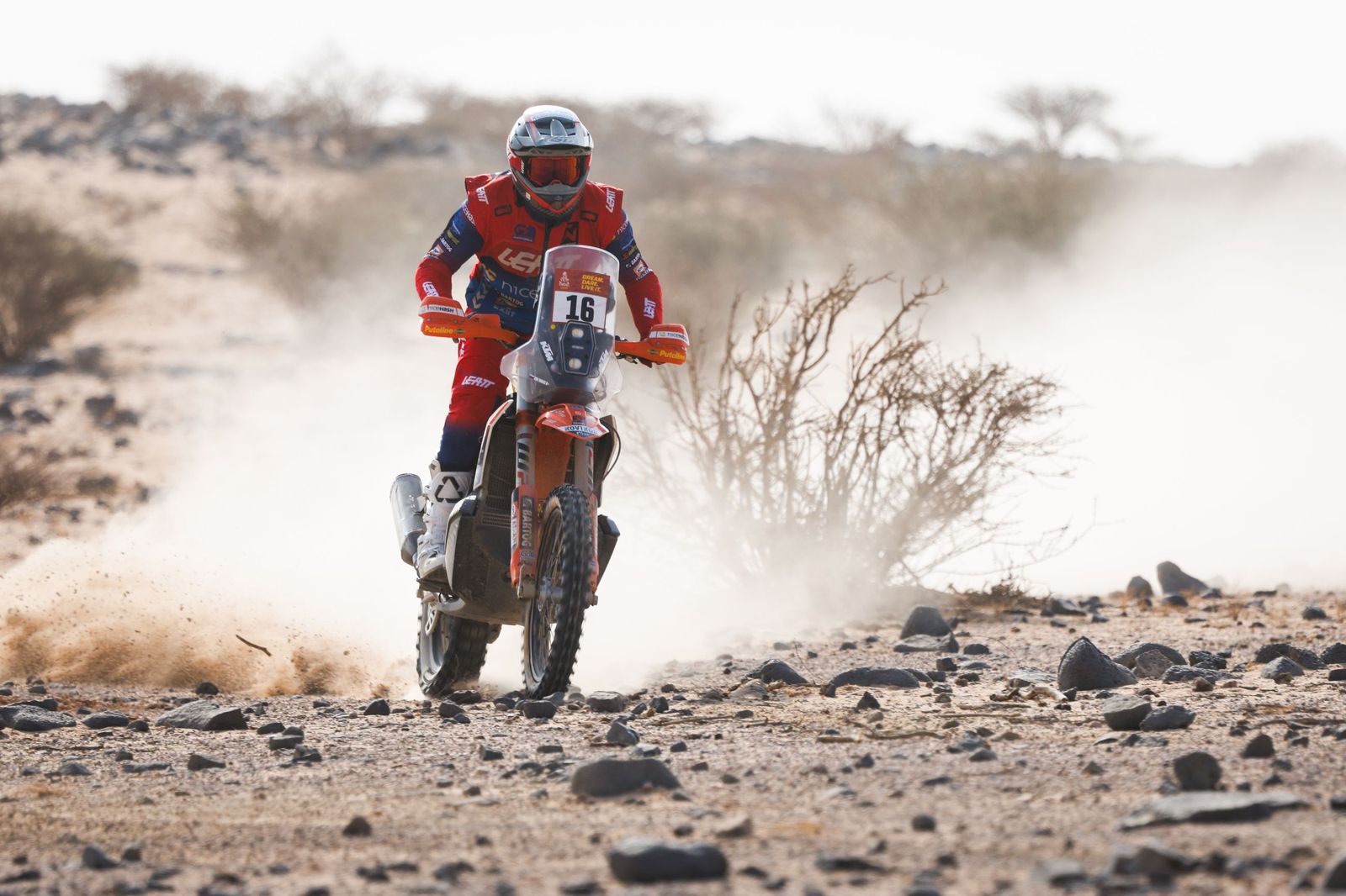 Las mejores fotos del Rally Dakar | undécima etapa