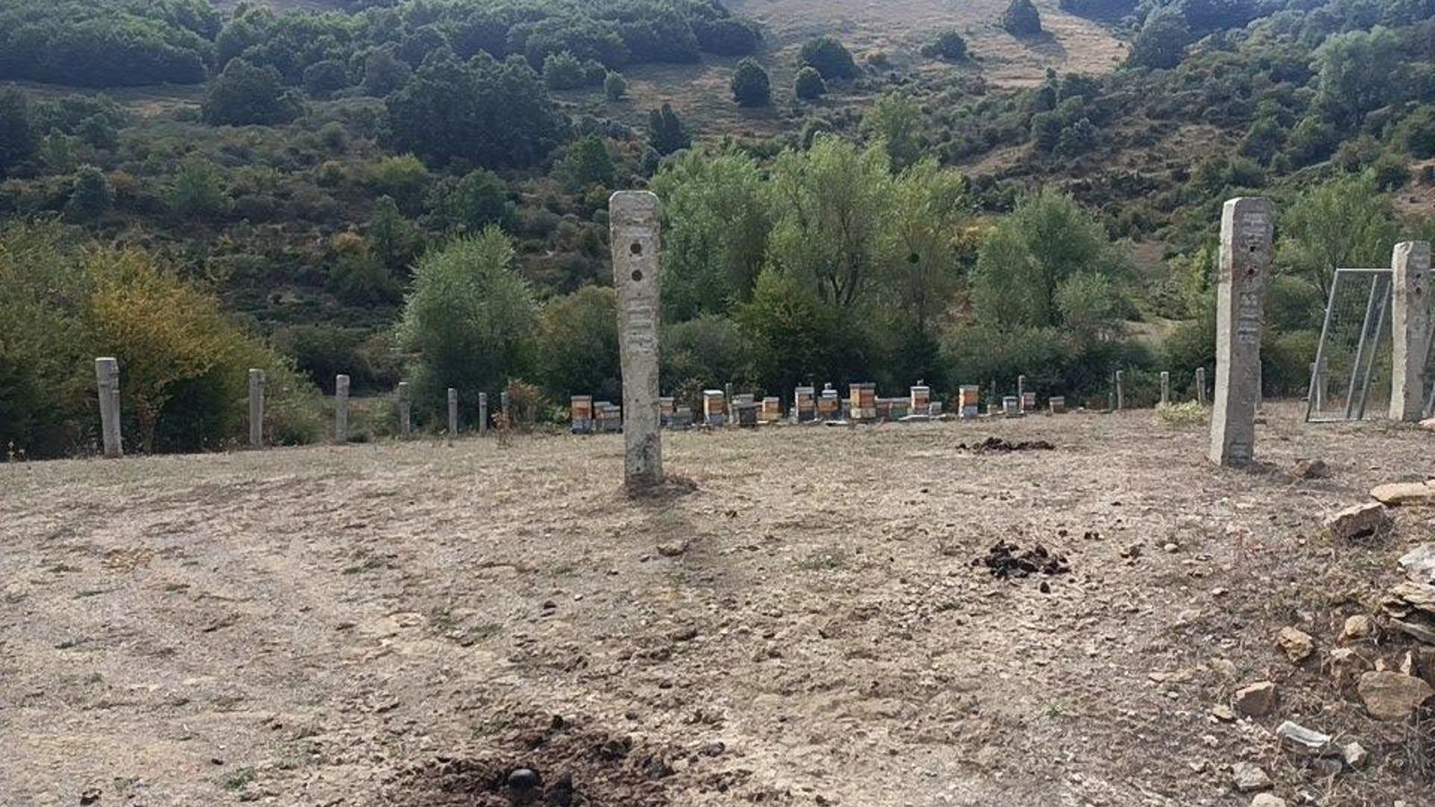 El camino se define a partir del colmenar que hay en la bajada.