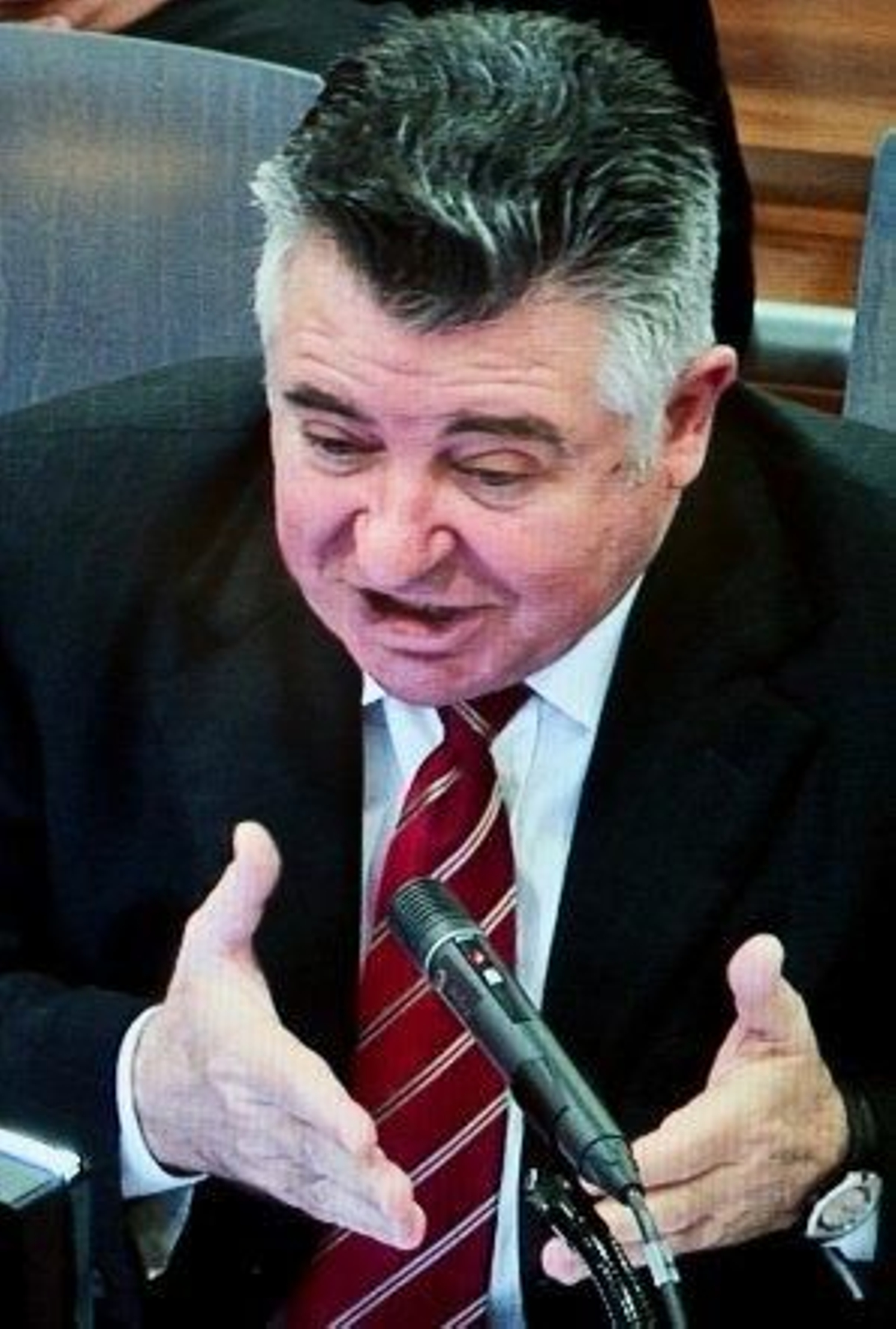 Roca: "Este proceso se ha magnificado desde el principio"