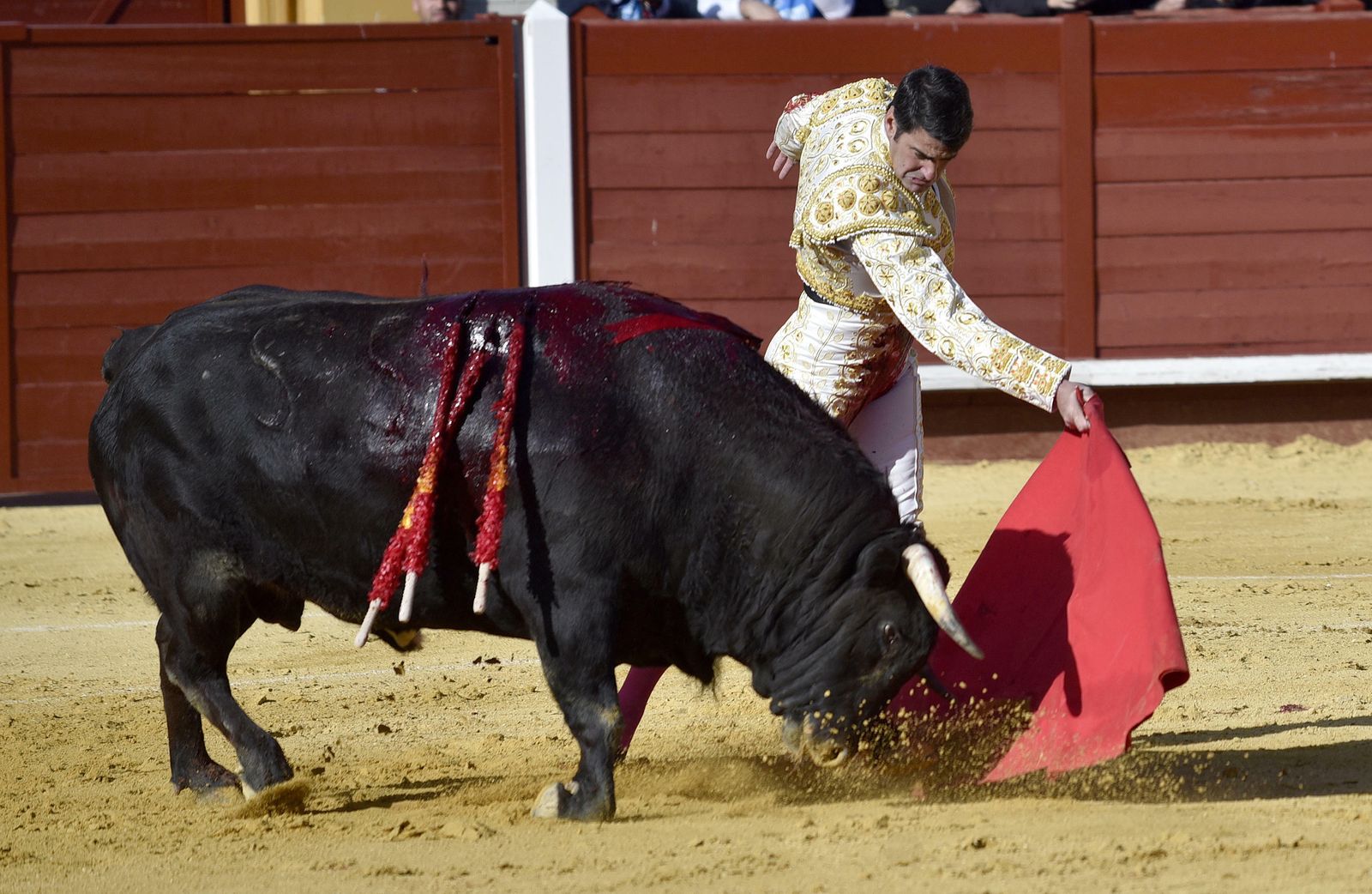 Las imágenes de la corrida en Morón con la reaparición de Jesulín de Ubrique
