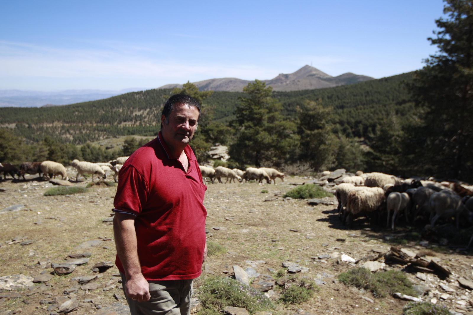 Antonio López, pastor.