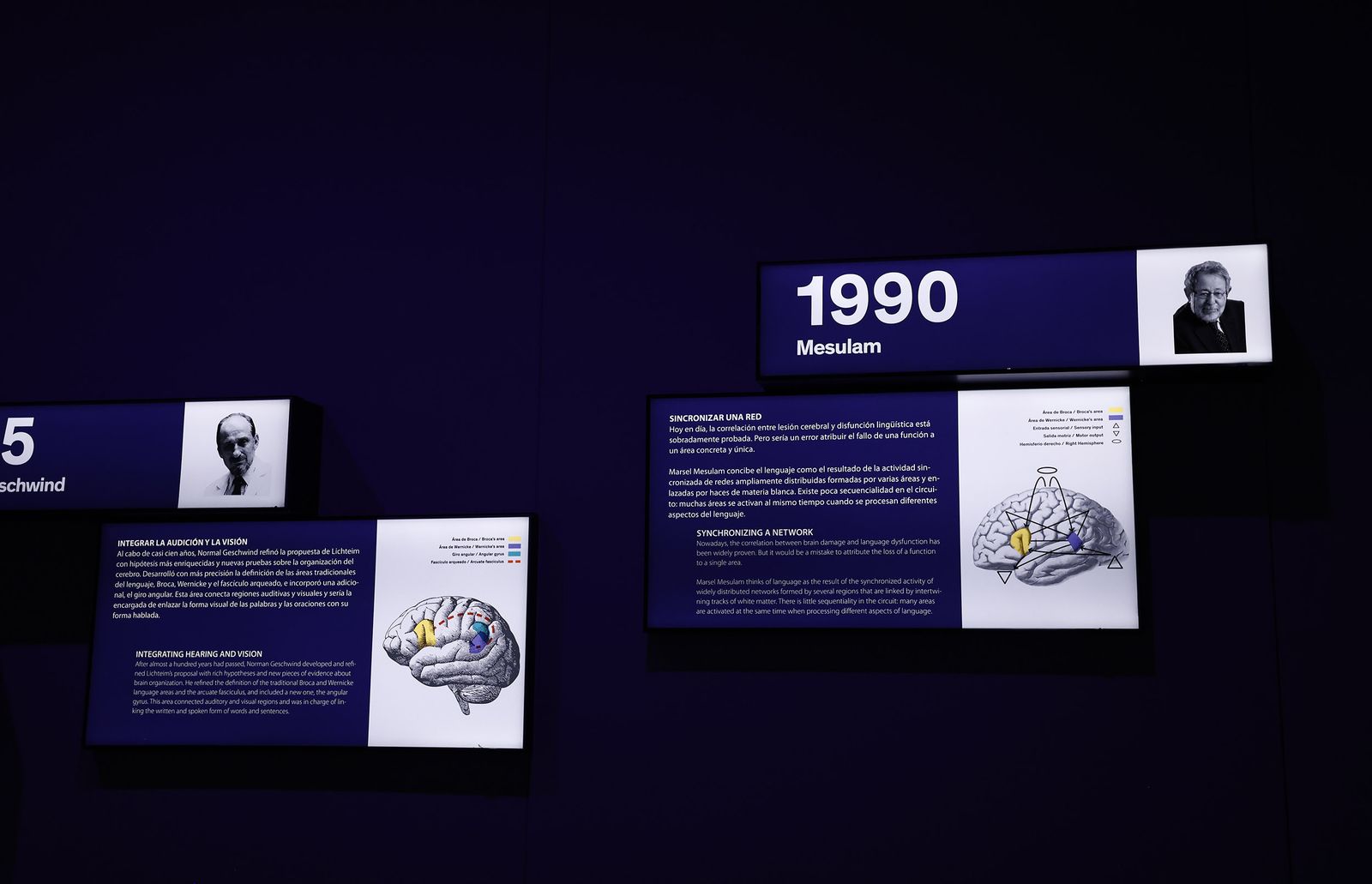 Las imágenes de la exposición interactiva “Talking Brains”