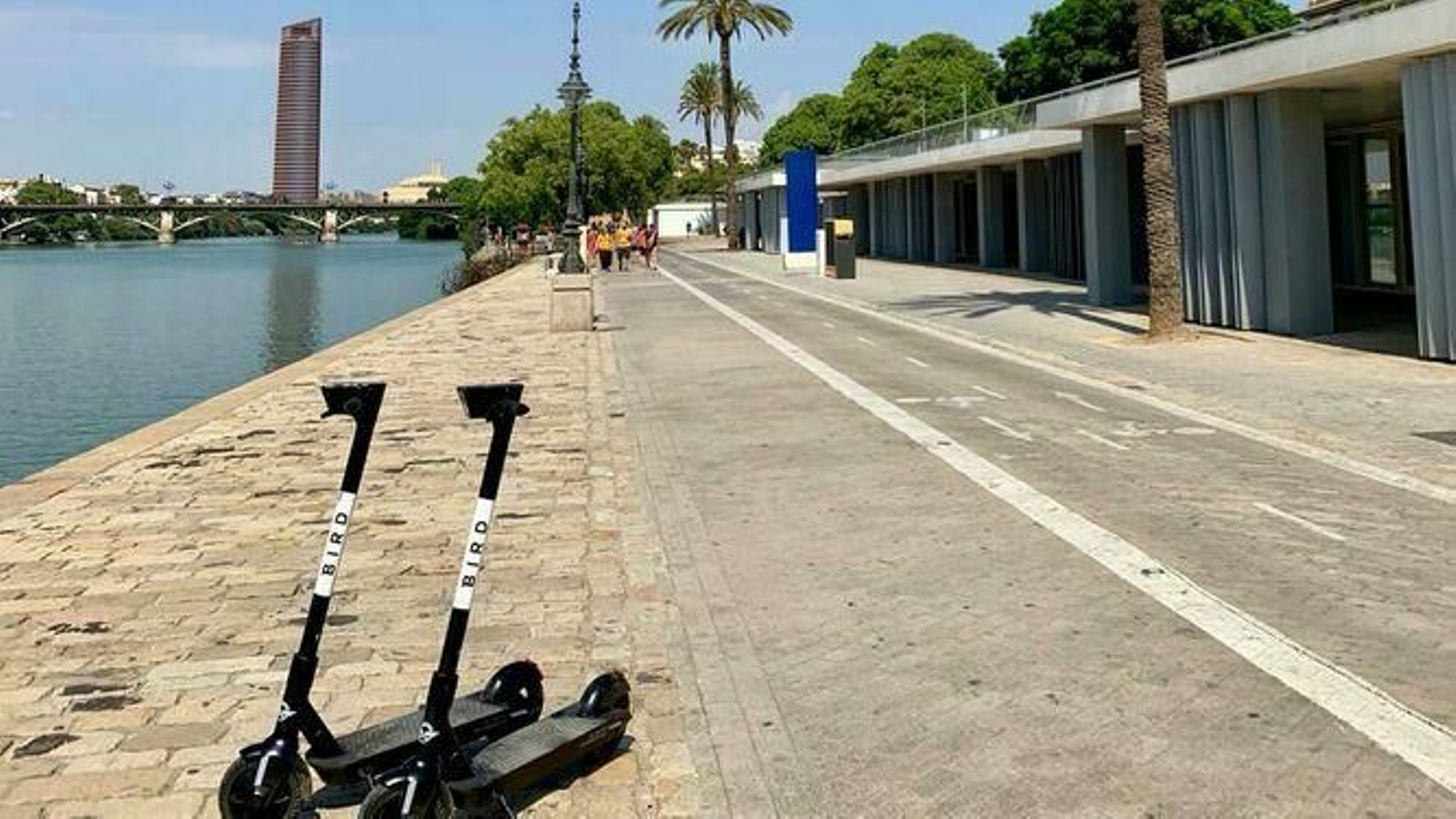 Dos de los patinetes de la empresa Bird en el Paseo Marqués de Contadero.