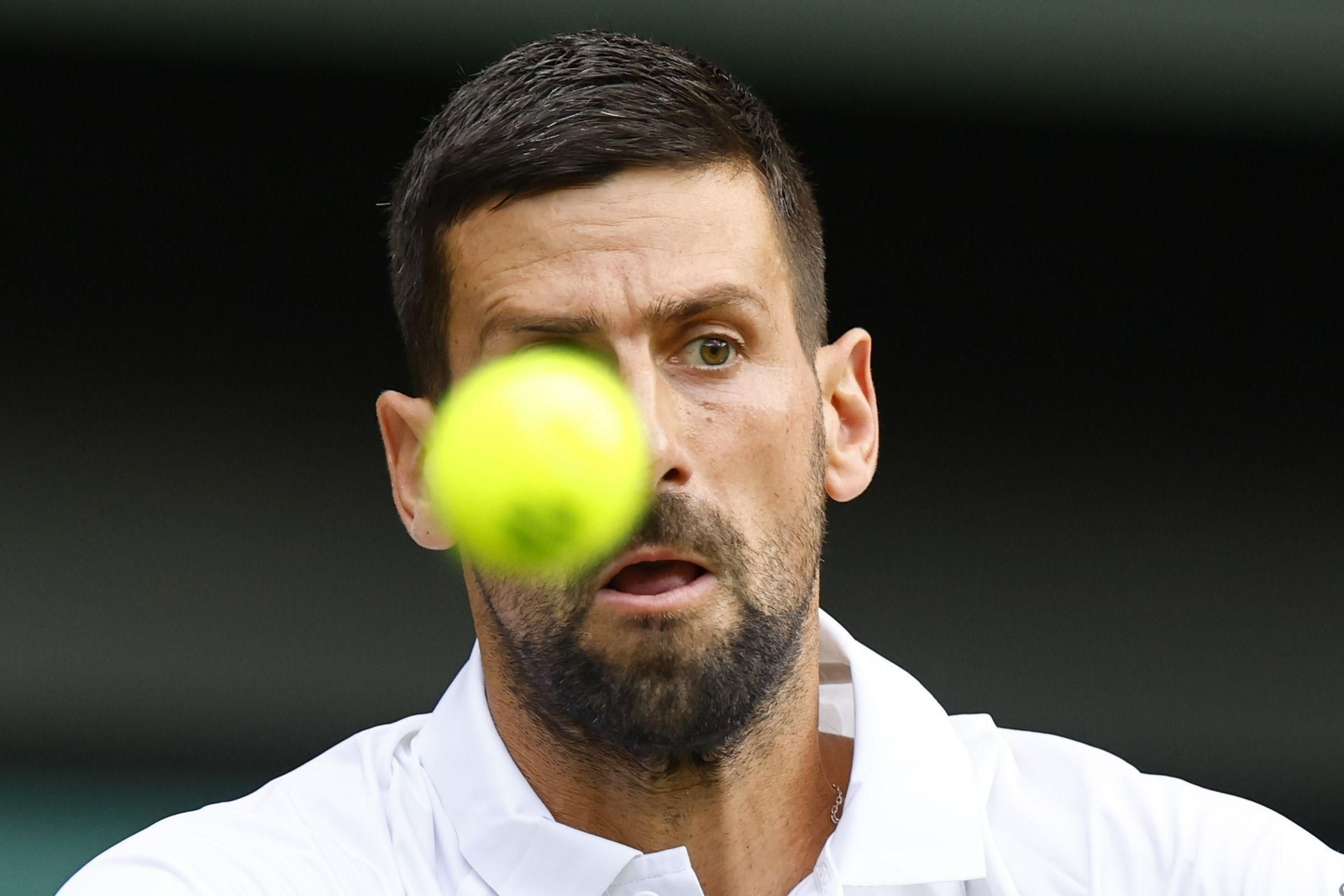 Las fotos de Wimbledon con las clasificaciones de Djokovic y Sinner