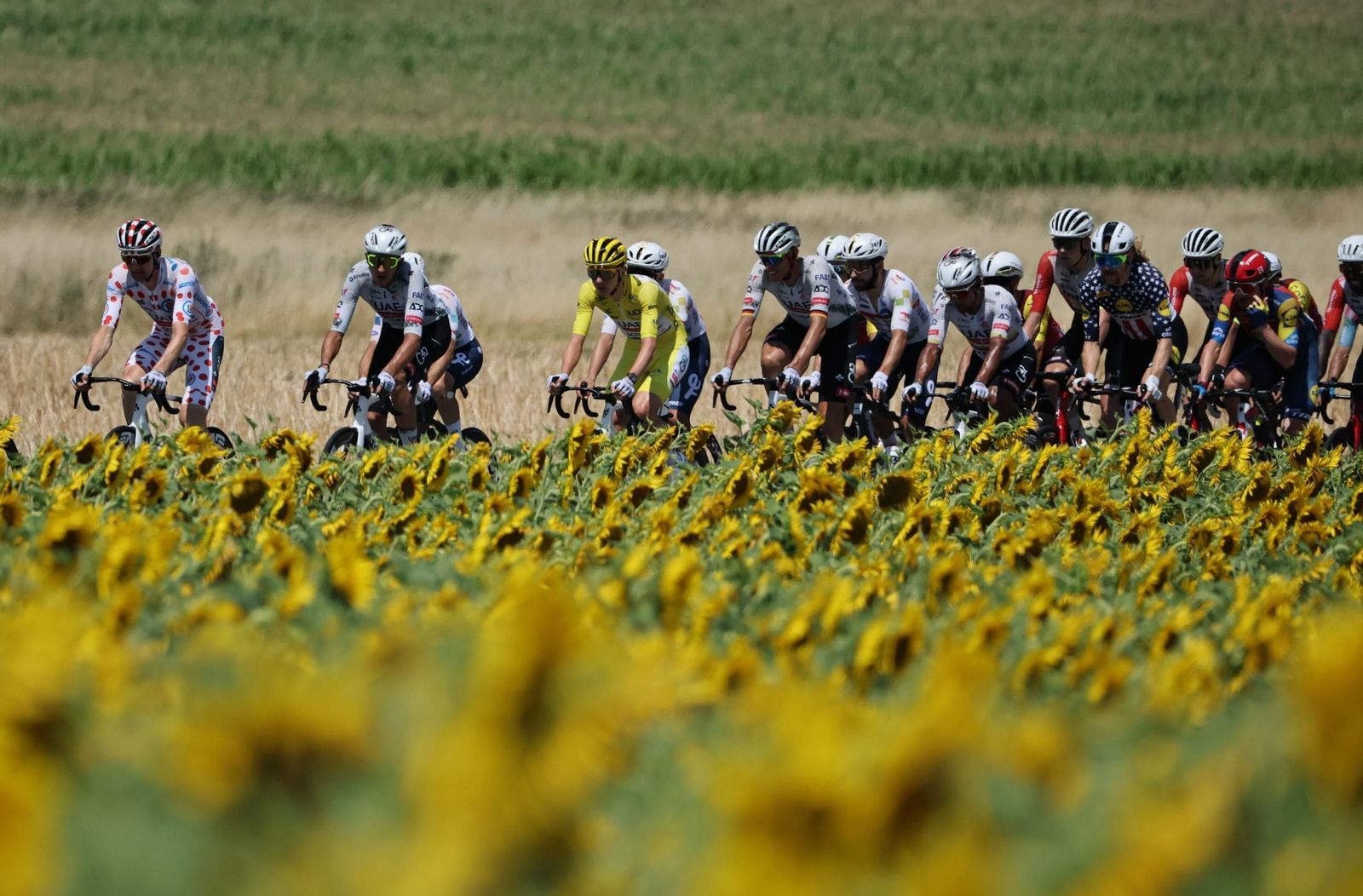 Las mejores fotos del Tour de Francia | Etapa 9