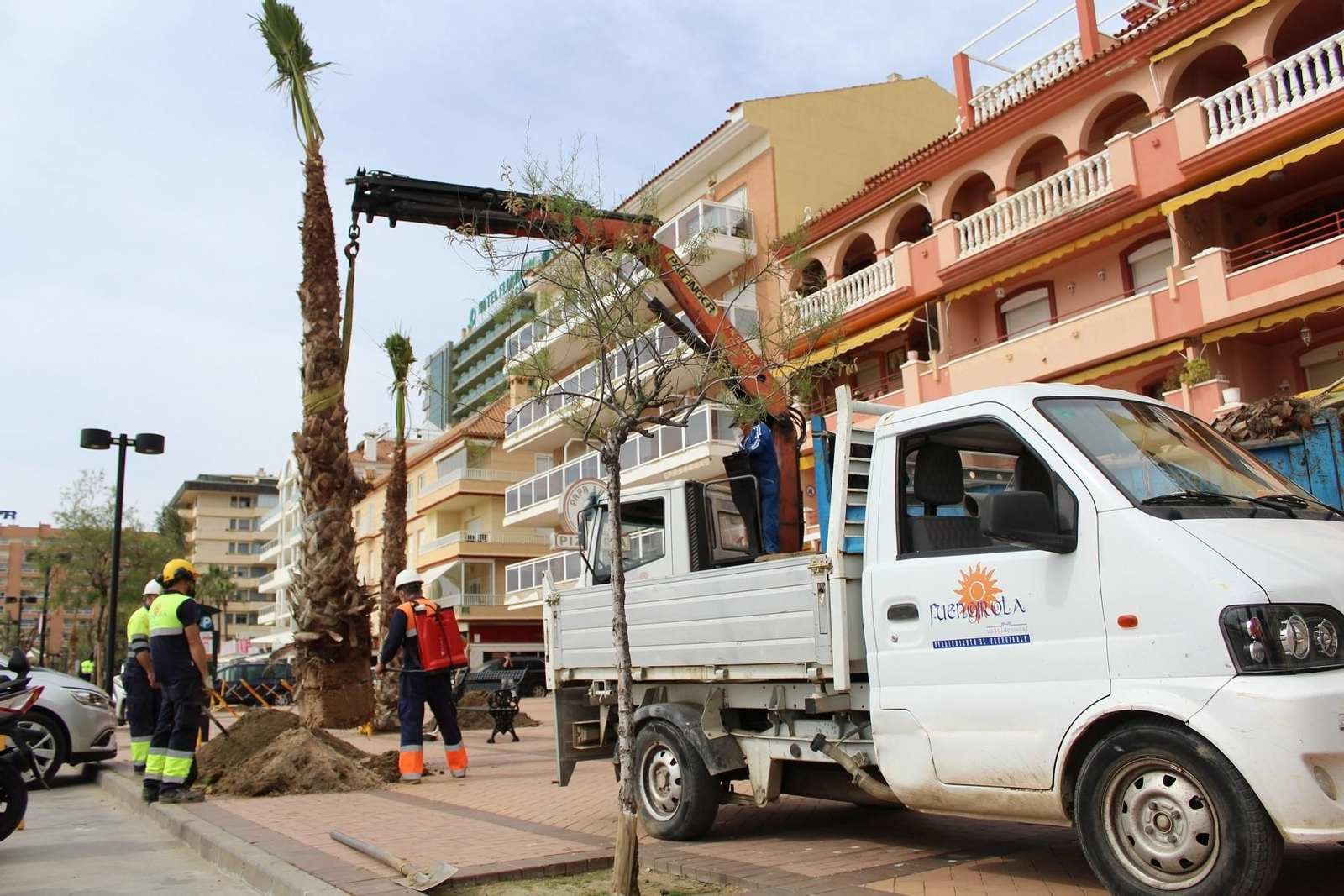 Los operarios municipales plantando una de las palmeras.
